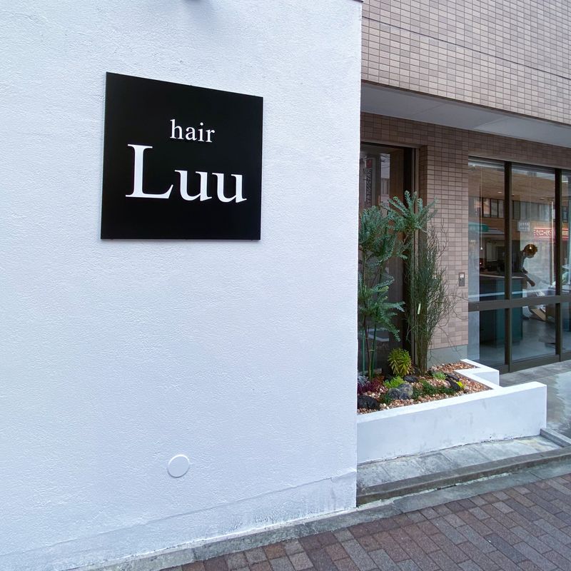 Luu hair