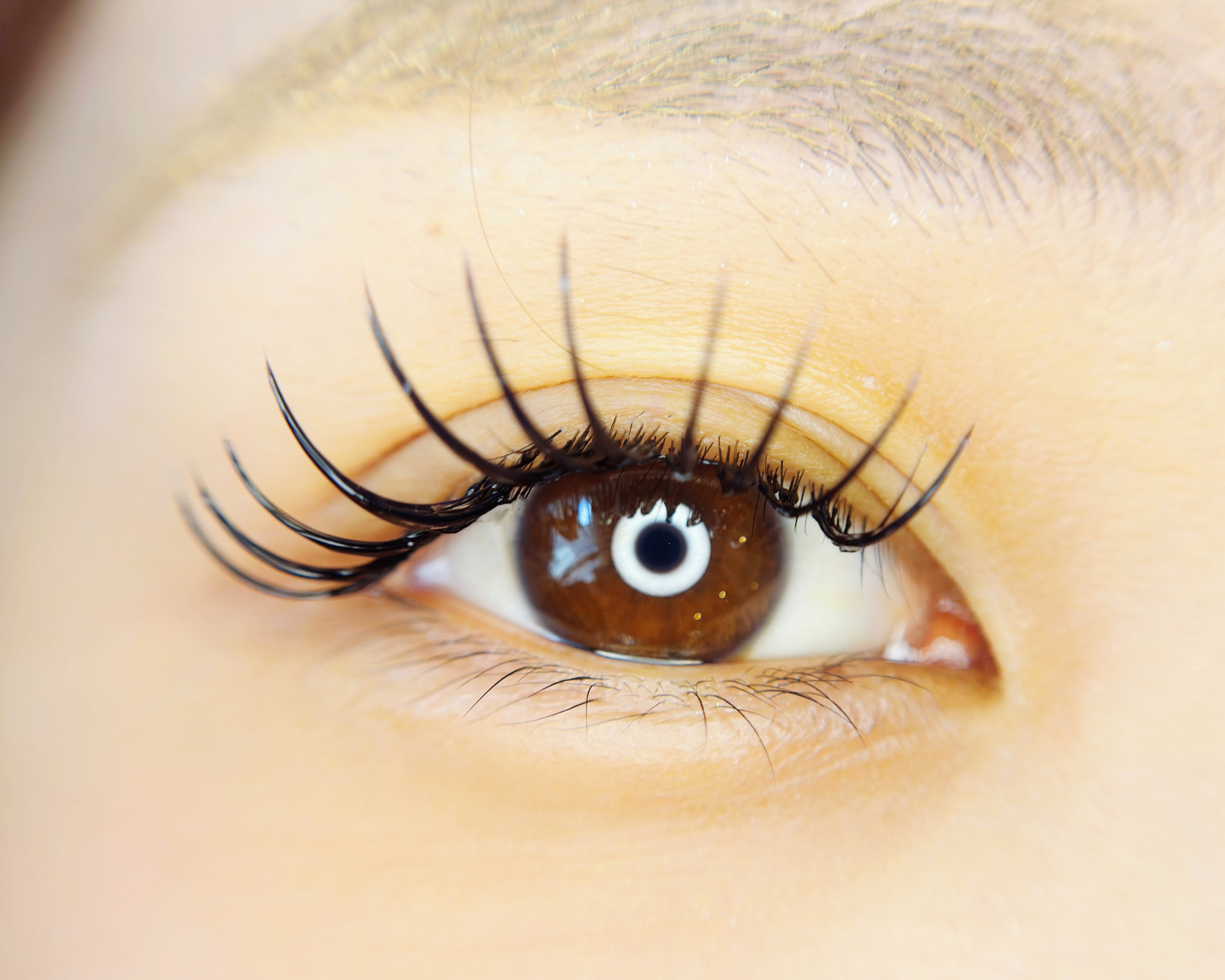 saaari___eyelash