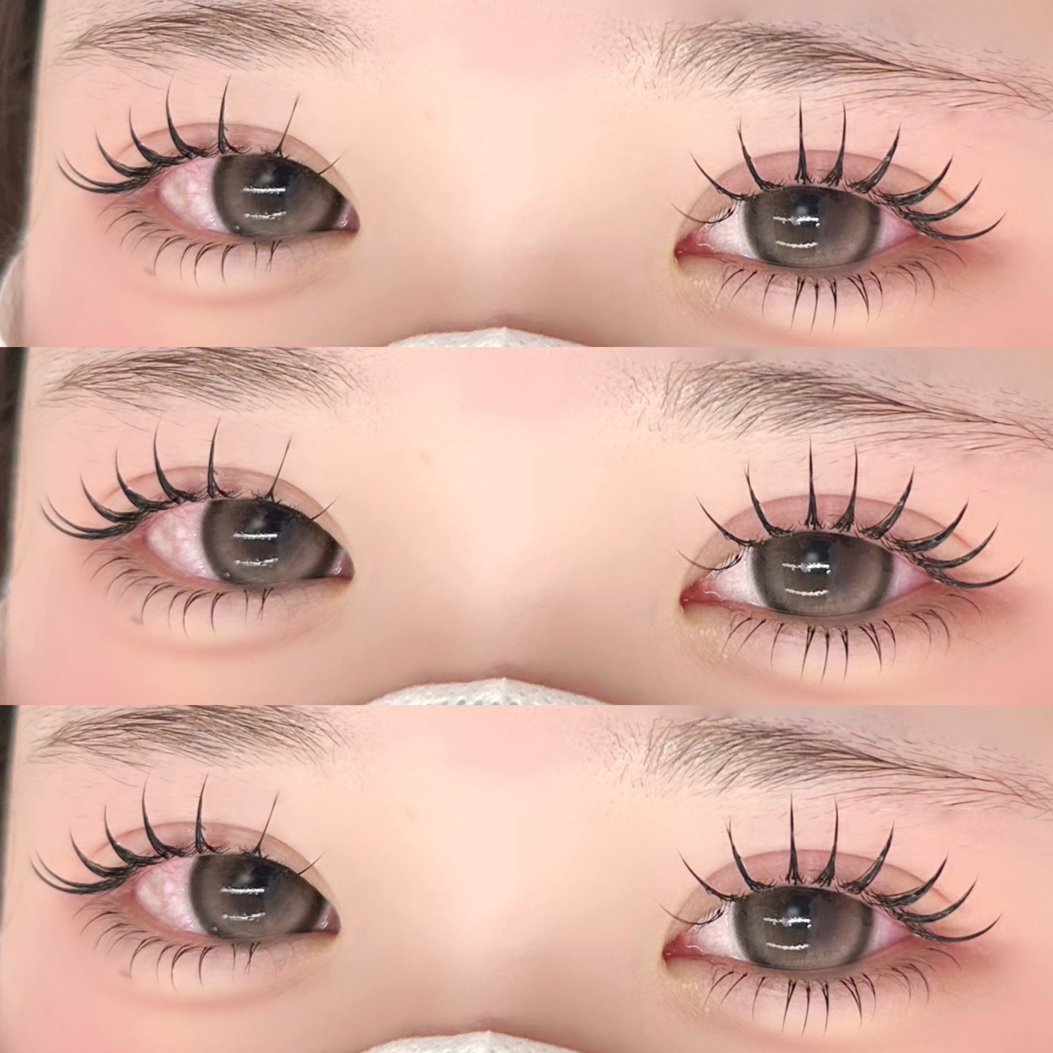 haruu7_daisy