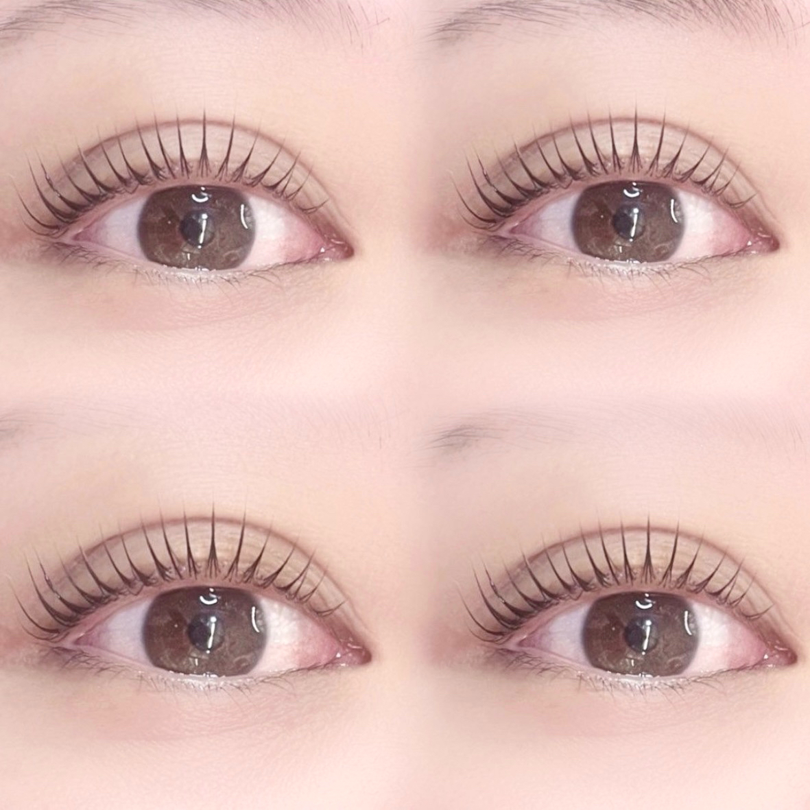 fein_ruu