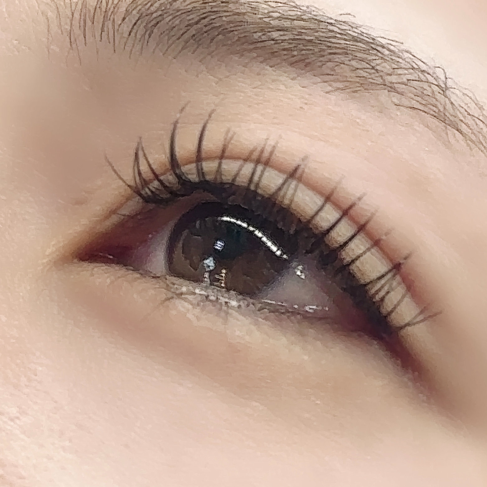 arms_lash