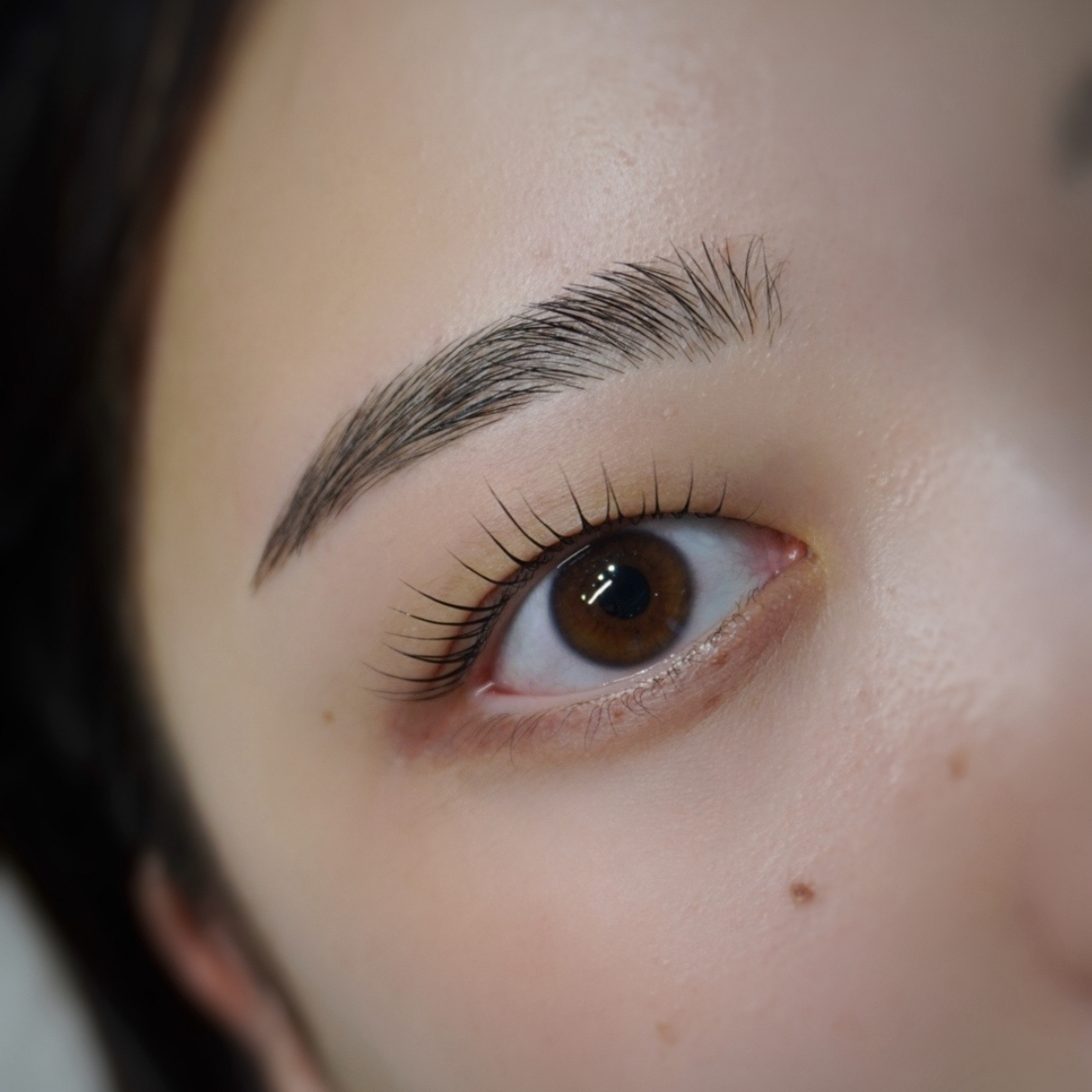 fuu_asuka