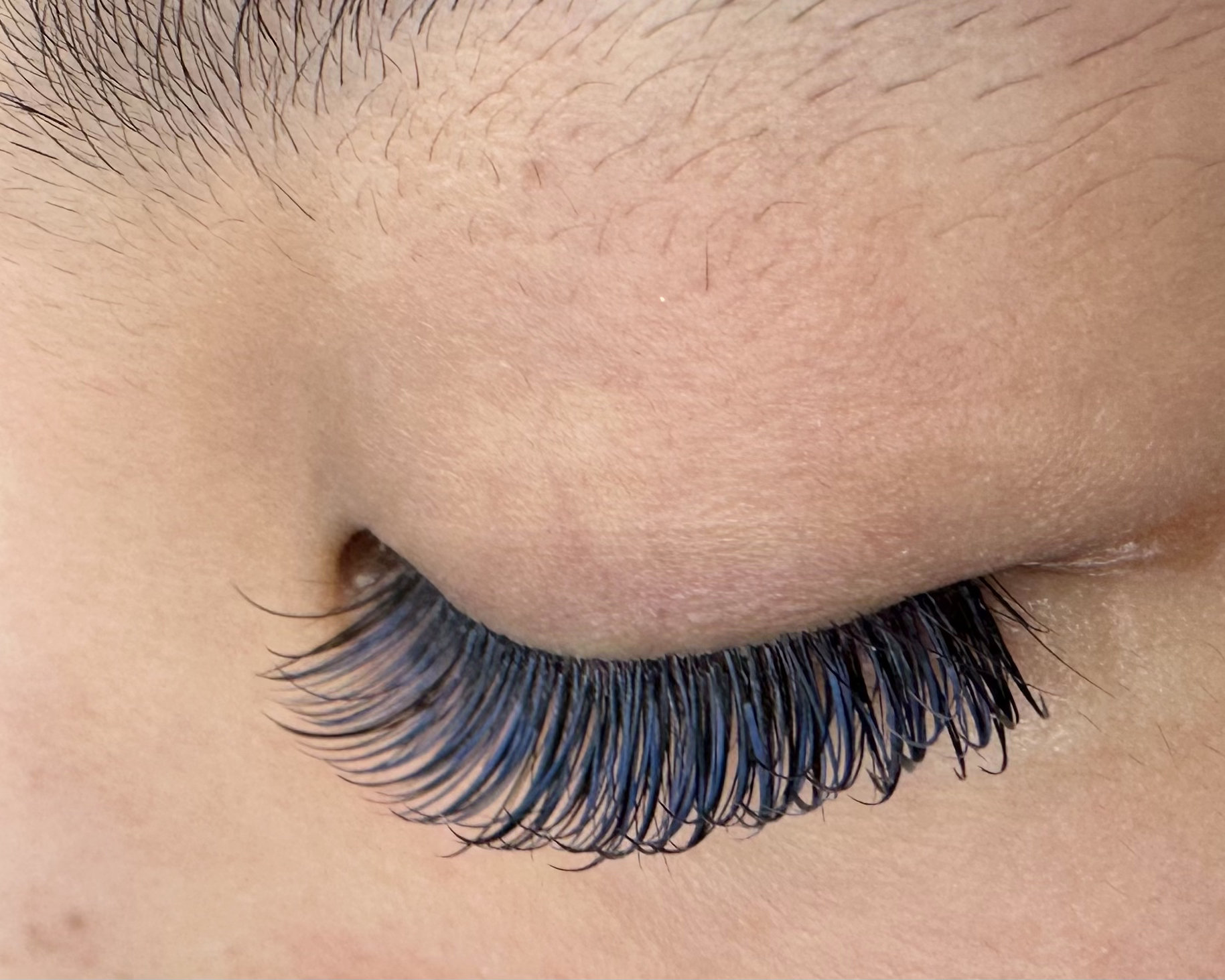 eyelash_CANVAS