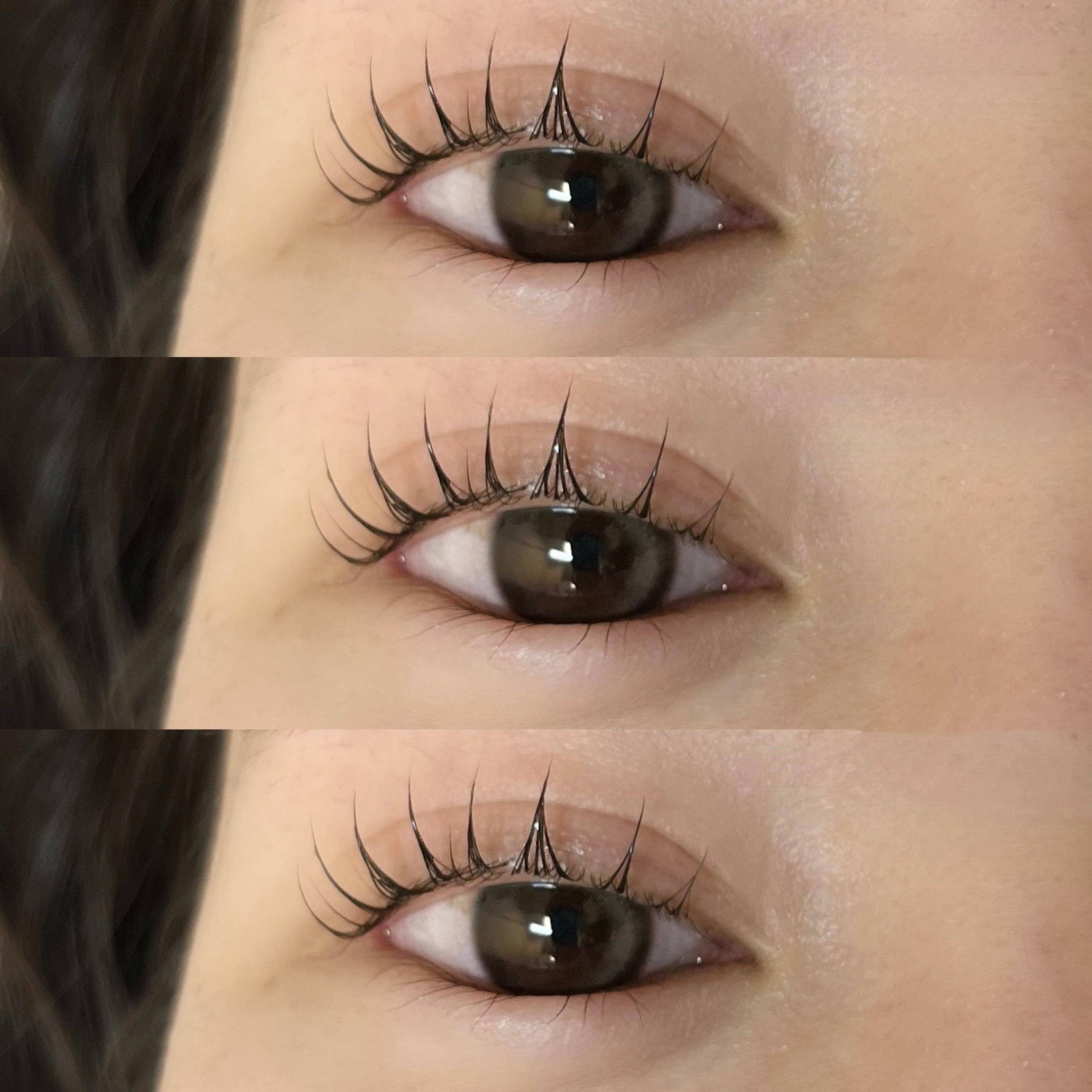 himawari_trueye