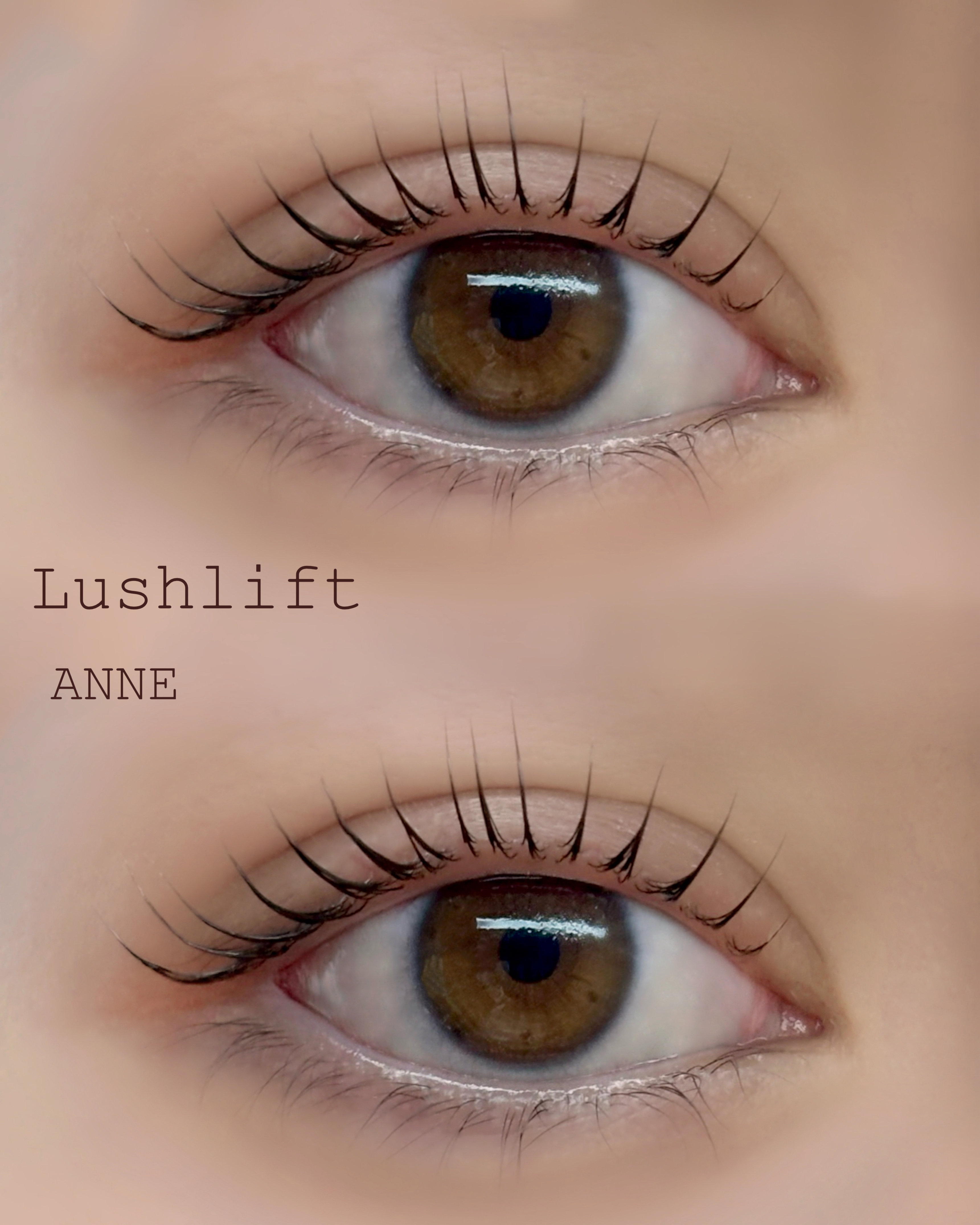 anne_chizu