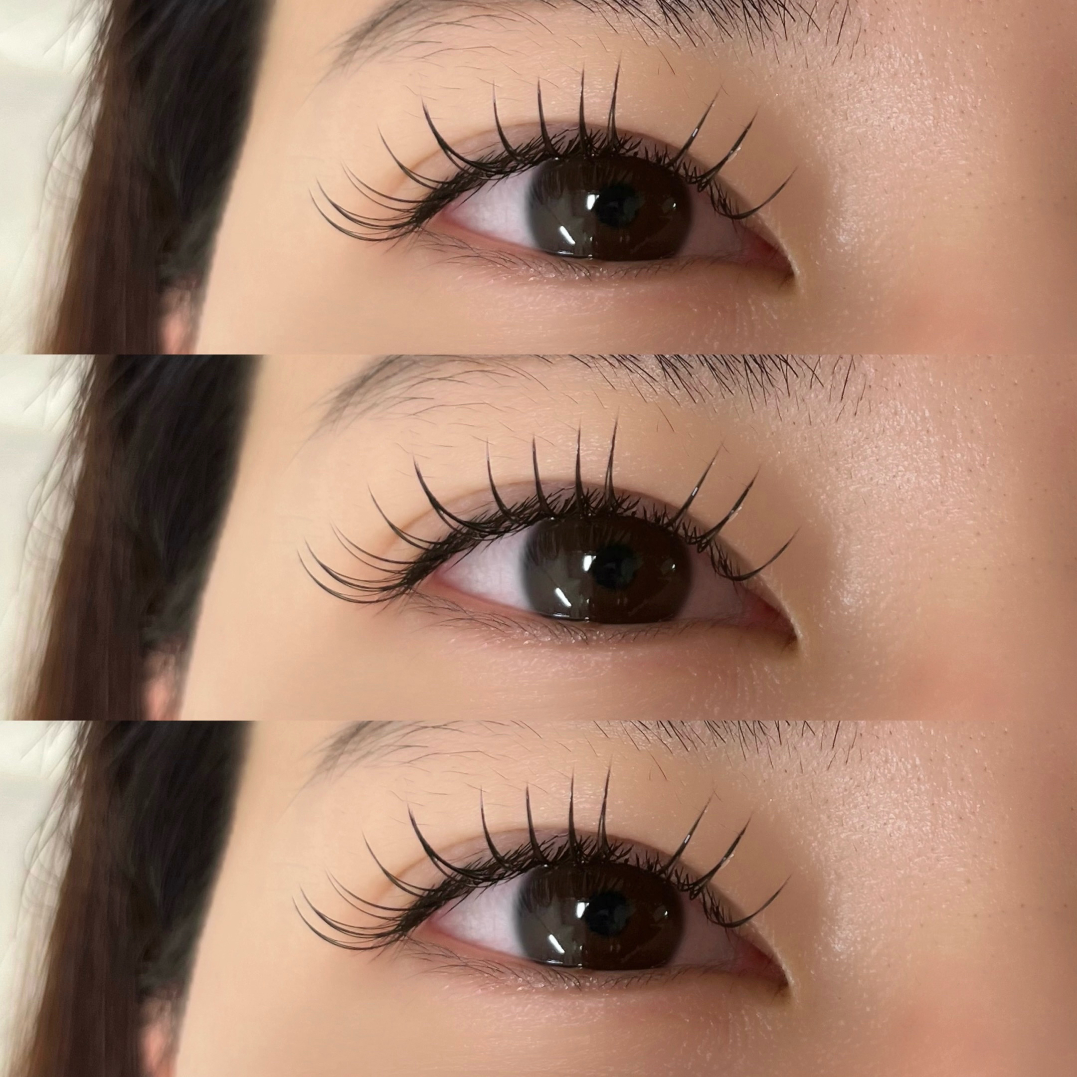 himawari_trueye
