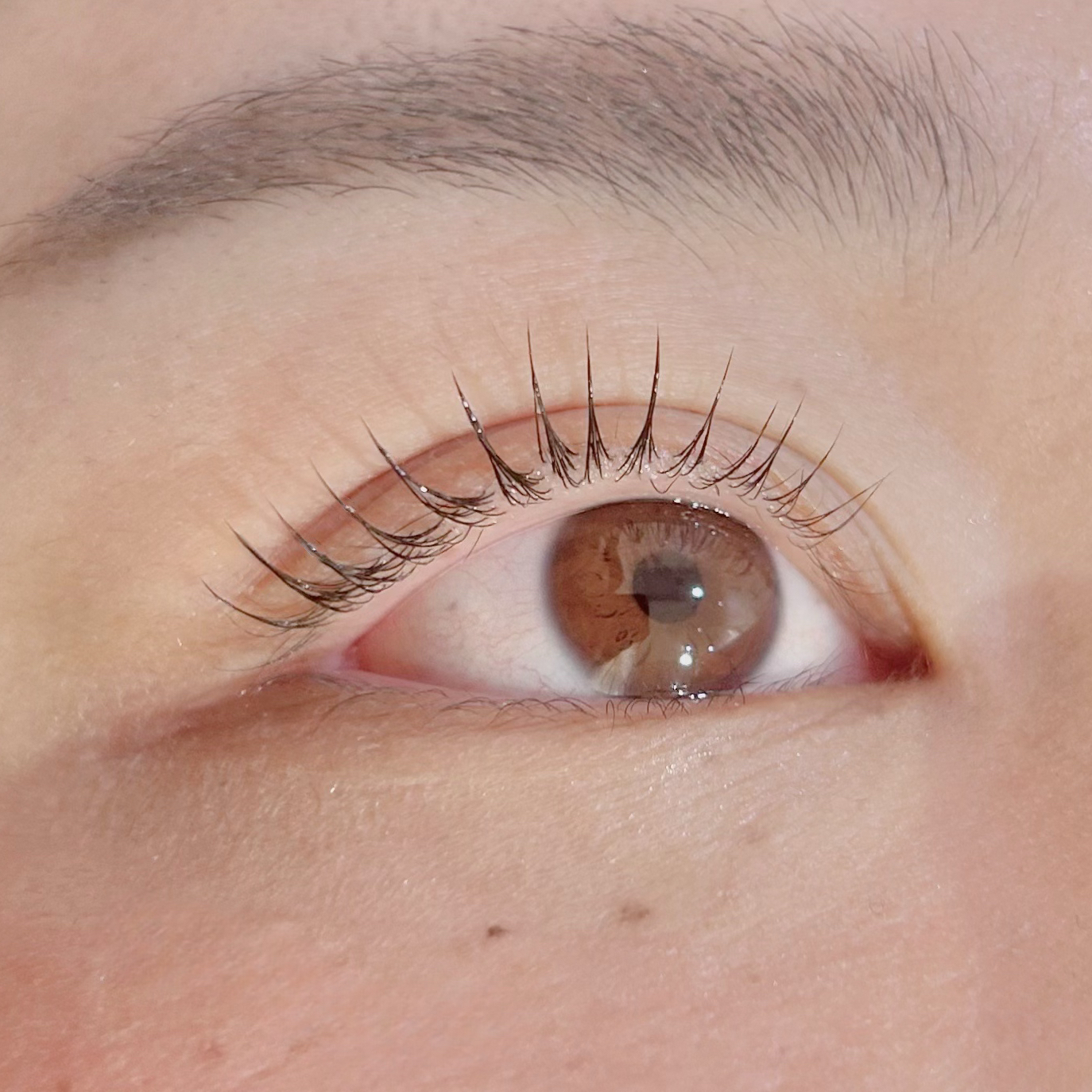 eye_uta