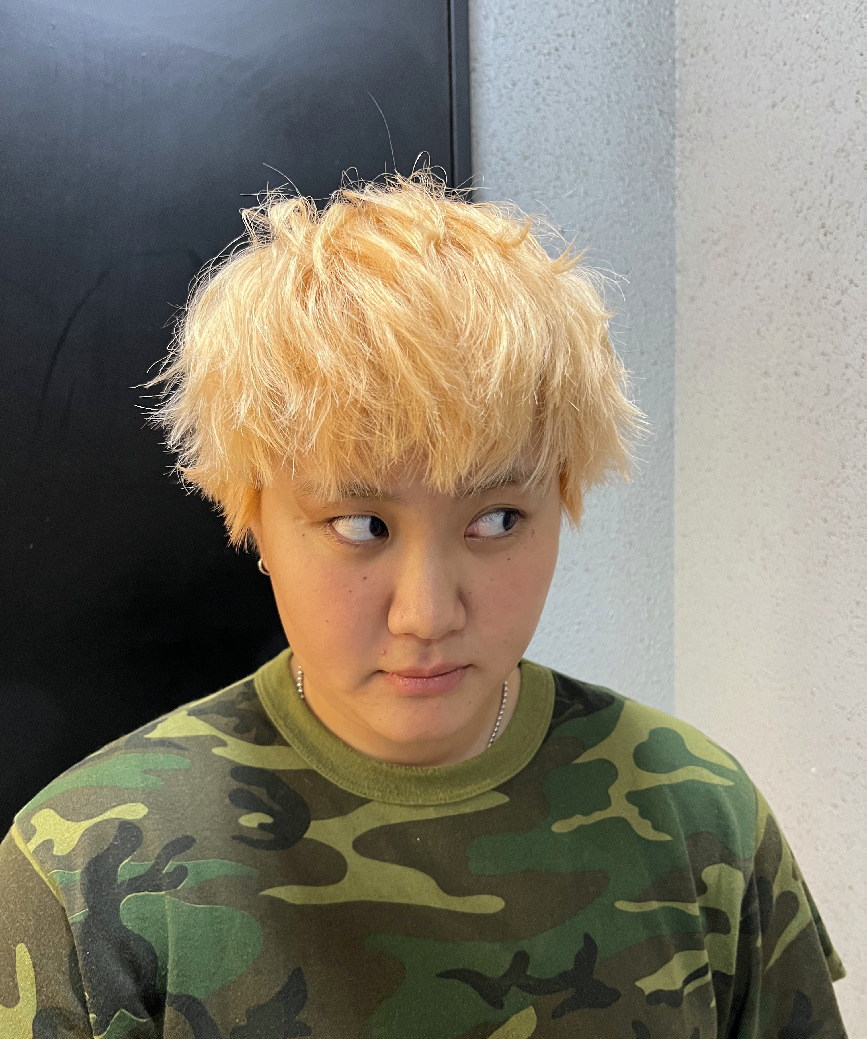 panai.hanpanai.shu