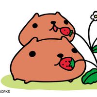 yuukipoppo345
