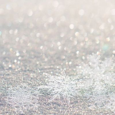 【冬の定額ネイル☆】とっても可愛いシーズンネイルはこちら☆