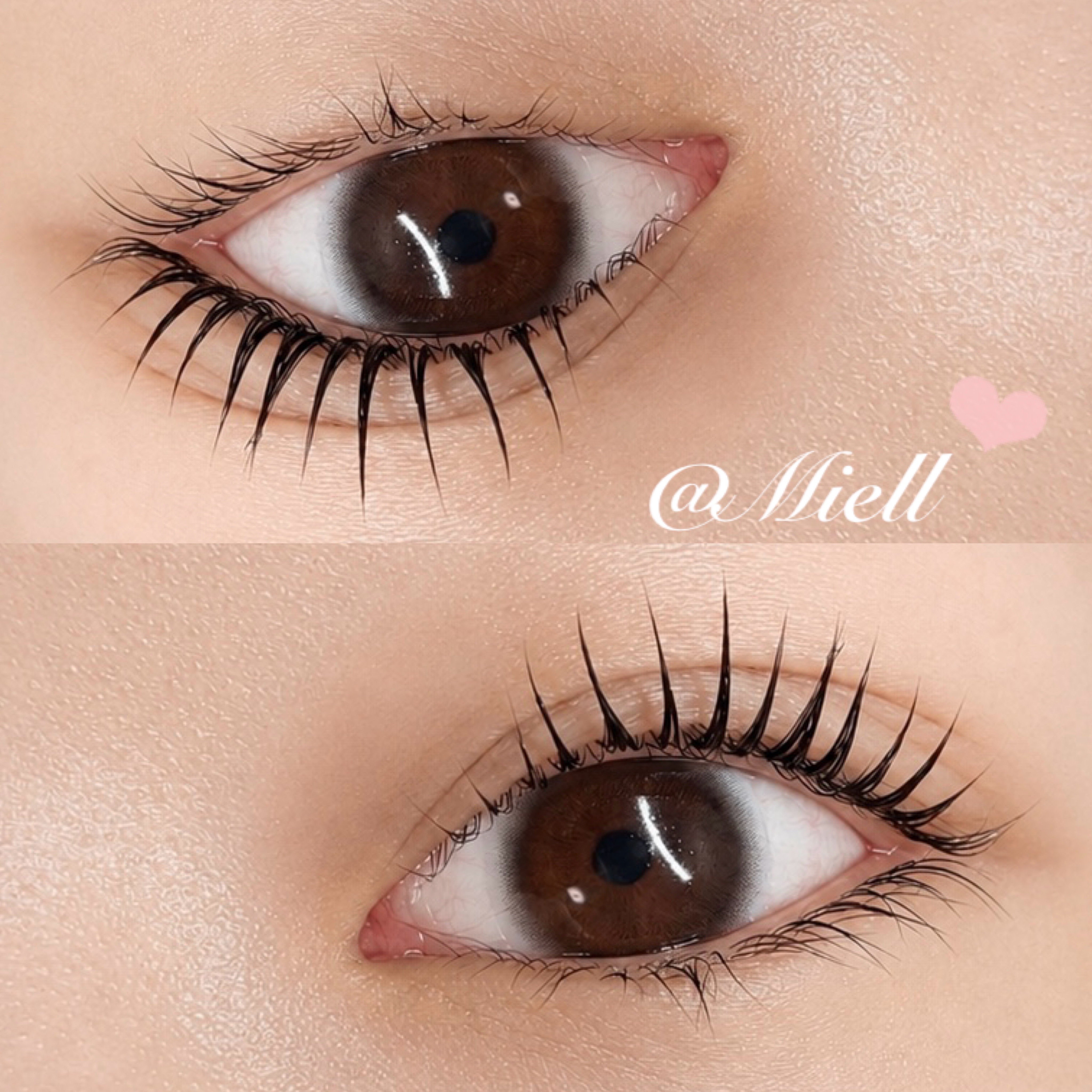 MEI_Miell