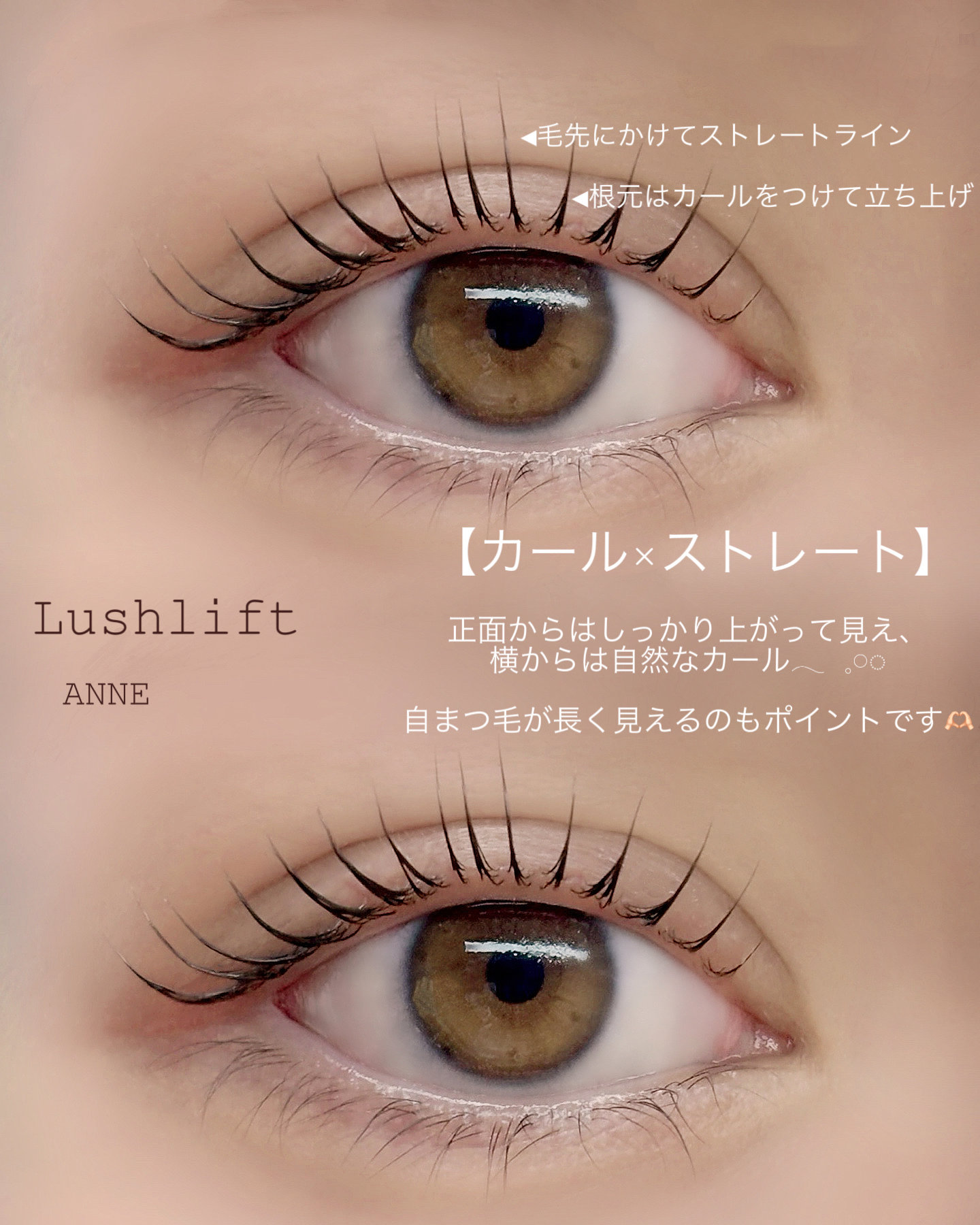 anne_chizu