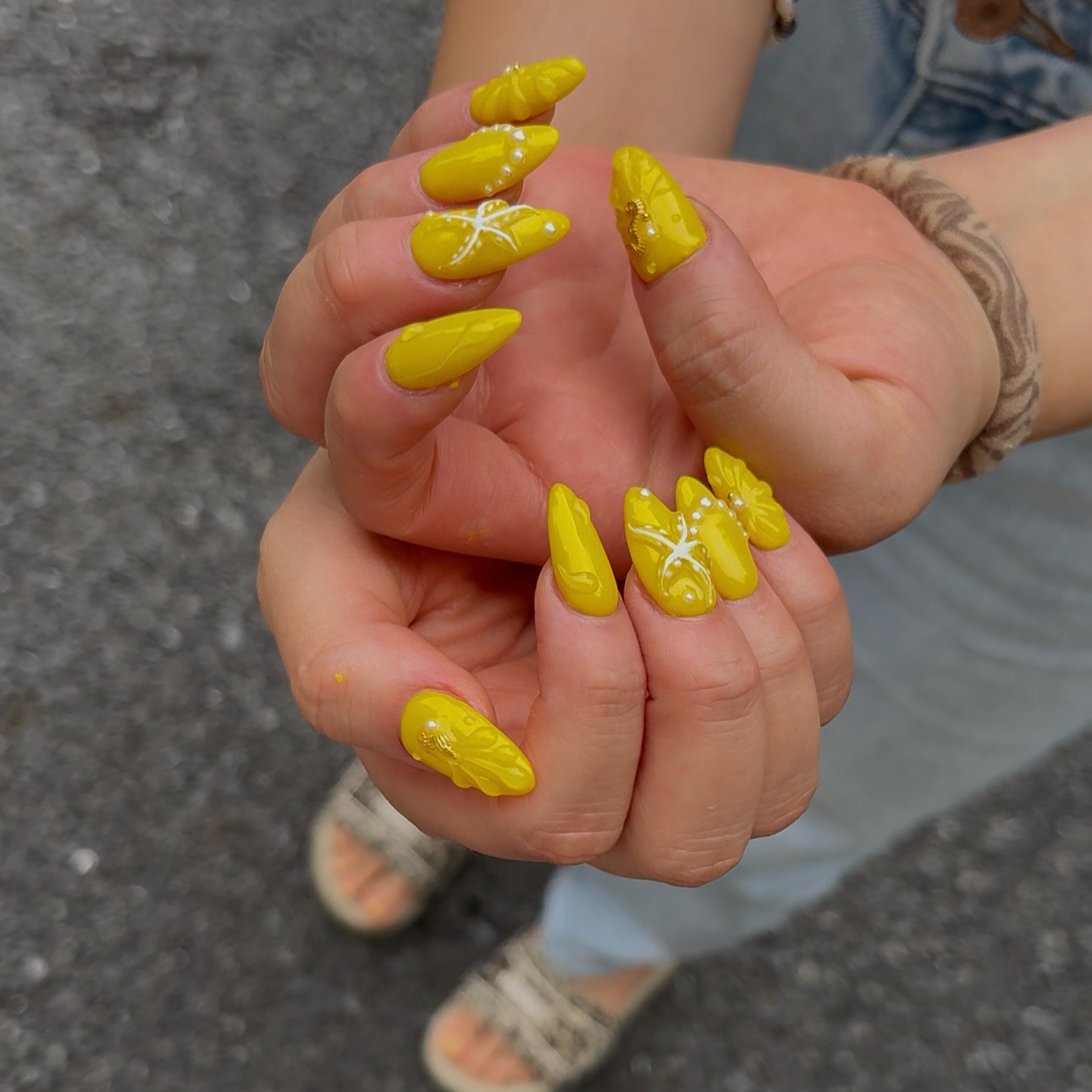 HandSnailZama