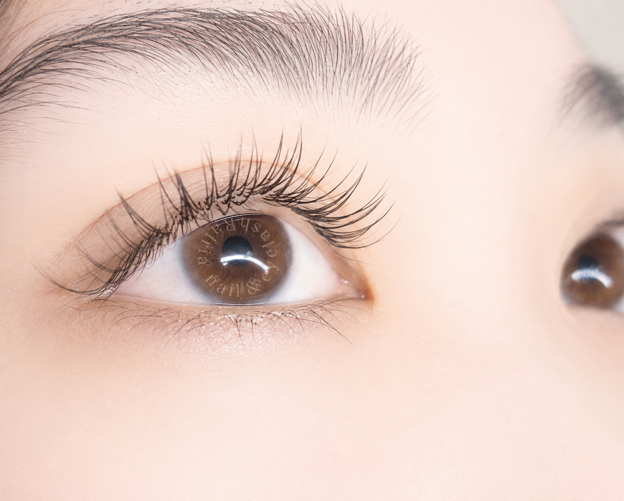 Rairia_eyelash