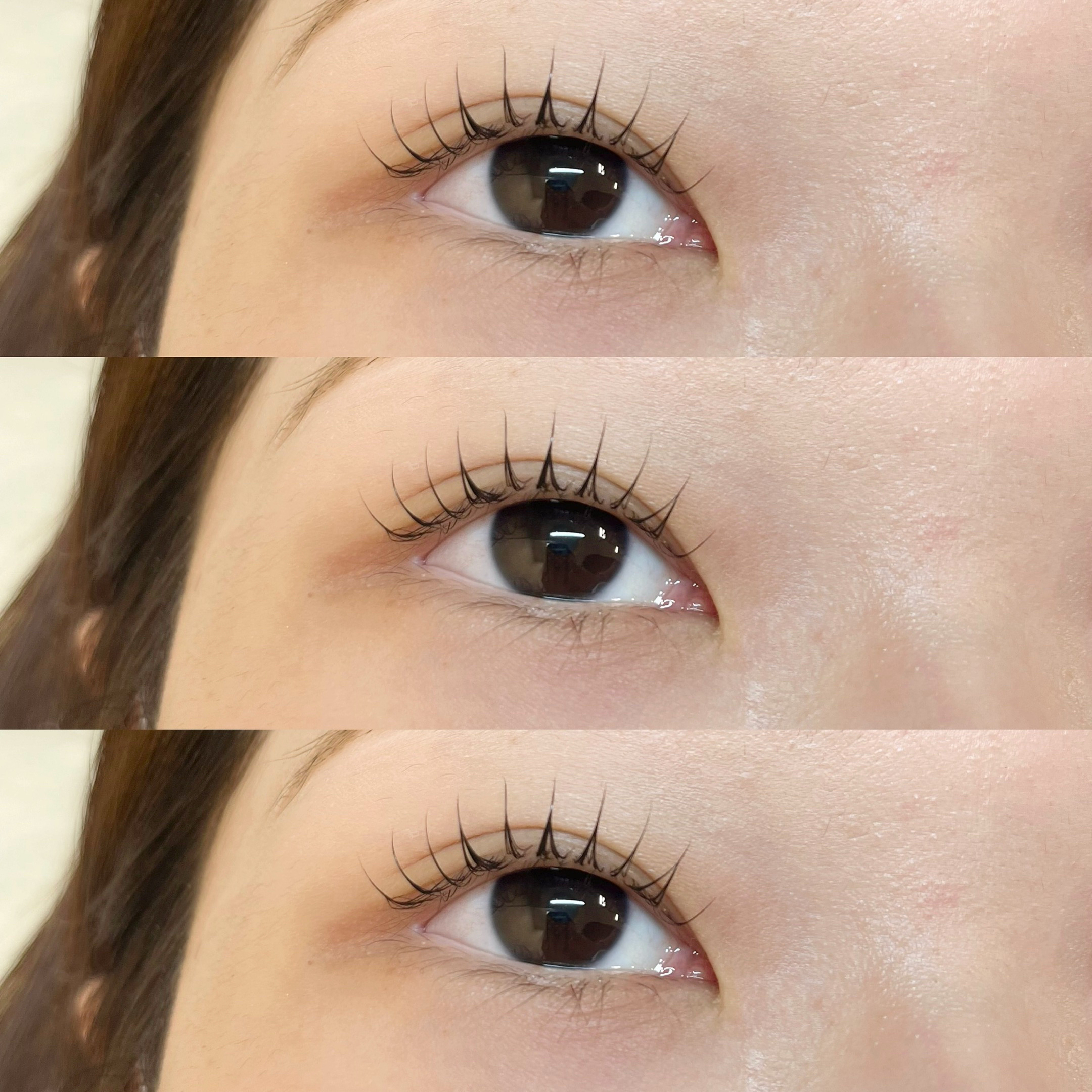 himawari_trueye