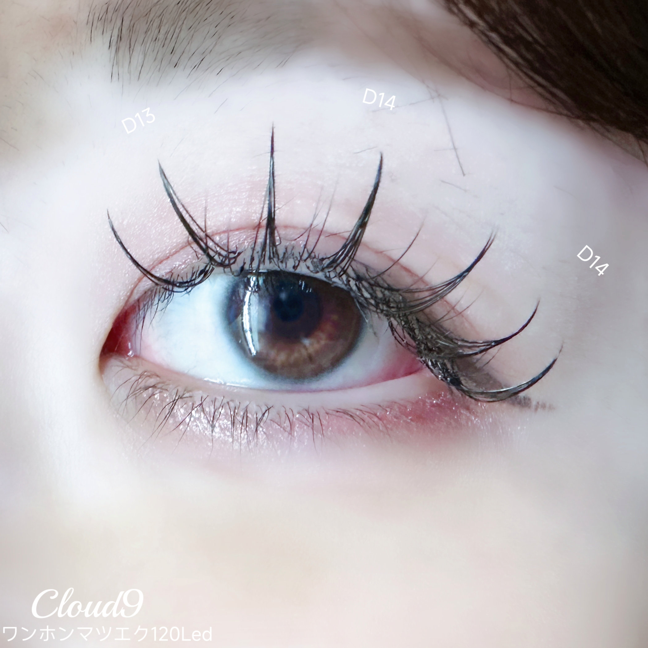 EyelashCloud9