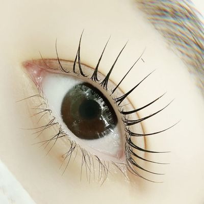 🎀🩶ラッシュリフト/似合わせパーマ/艶コーティング&アイシャンプーset