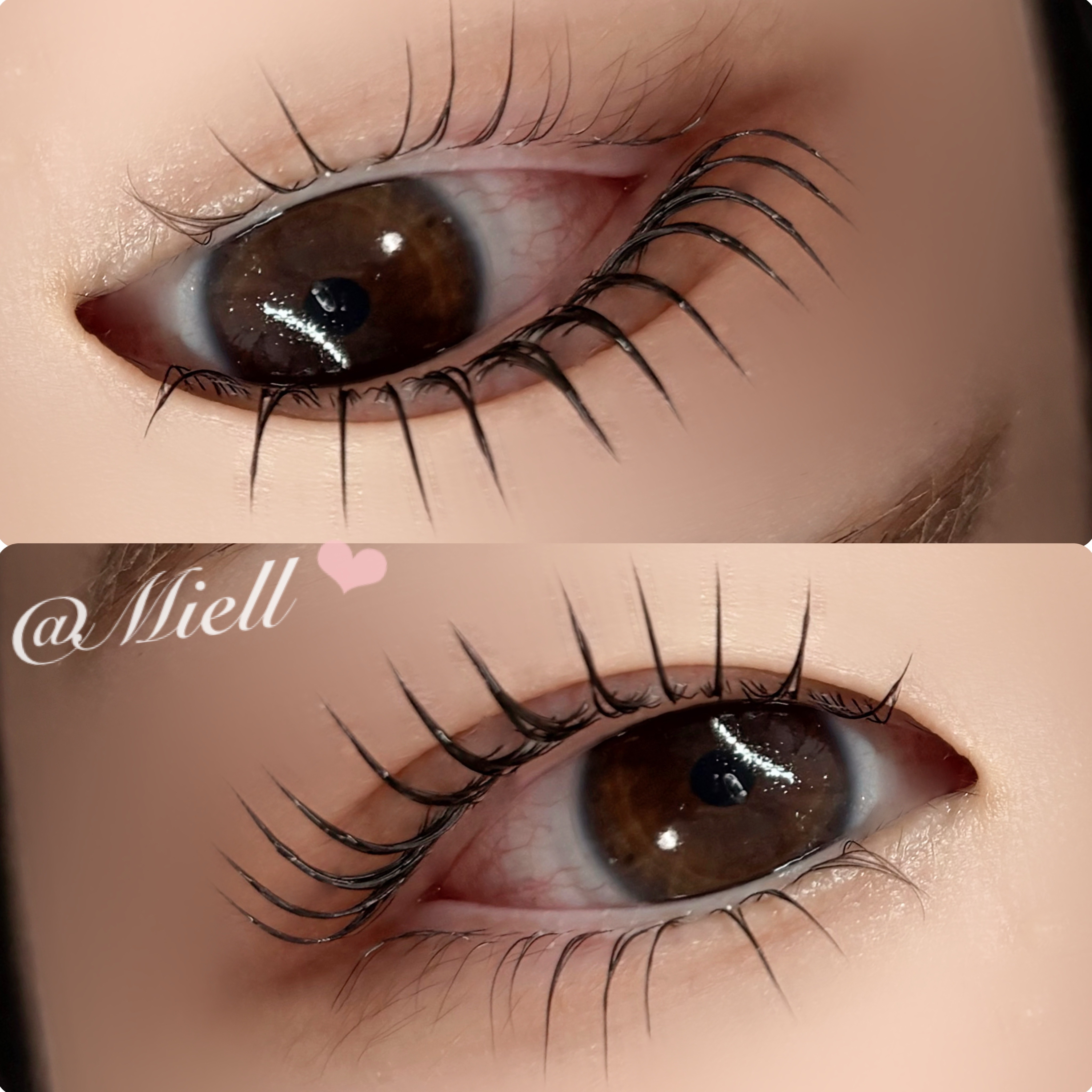 MEI_Miell