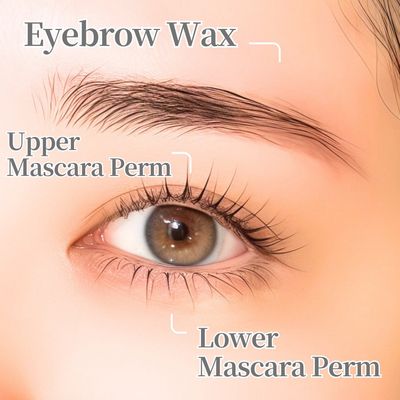 アイブロウWAX(間引き付)×韓国式マスカラパーマ上下セット(TR付)