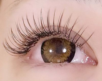 《高持続×濃見え◎》ダブルフラットラッシュ100束（200本）🌼🌼