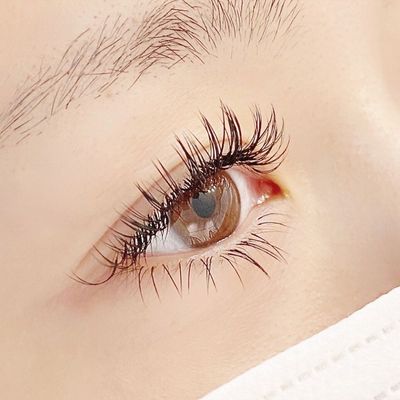 【盛れる♡】フラットラッシュ上下付け放題