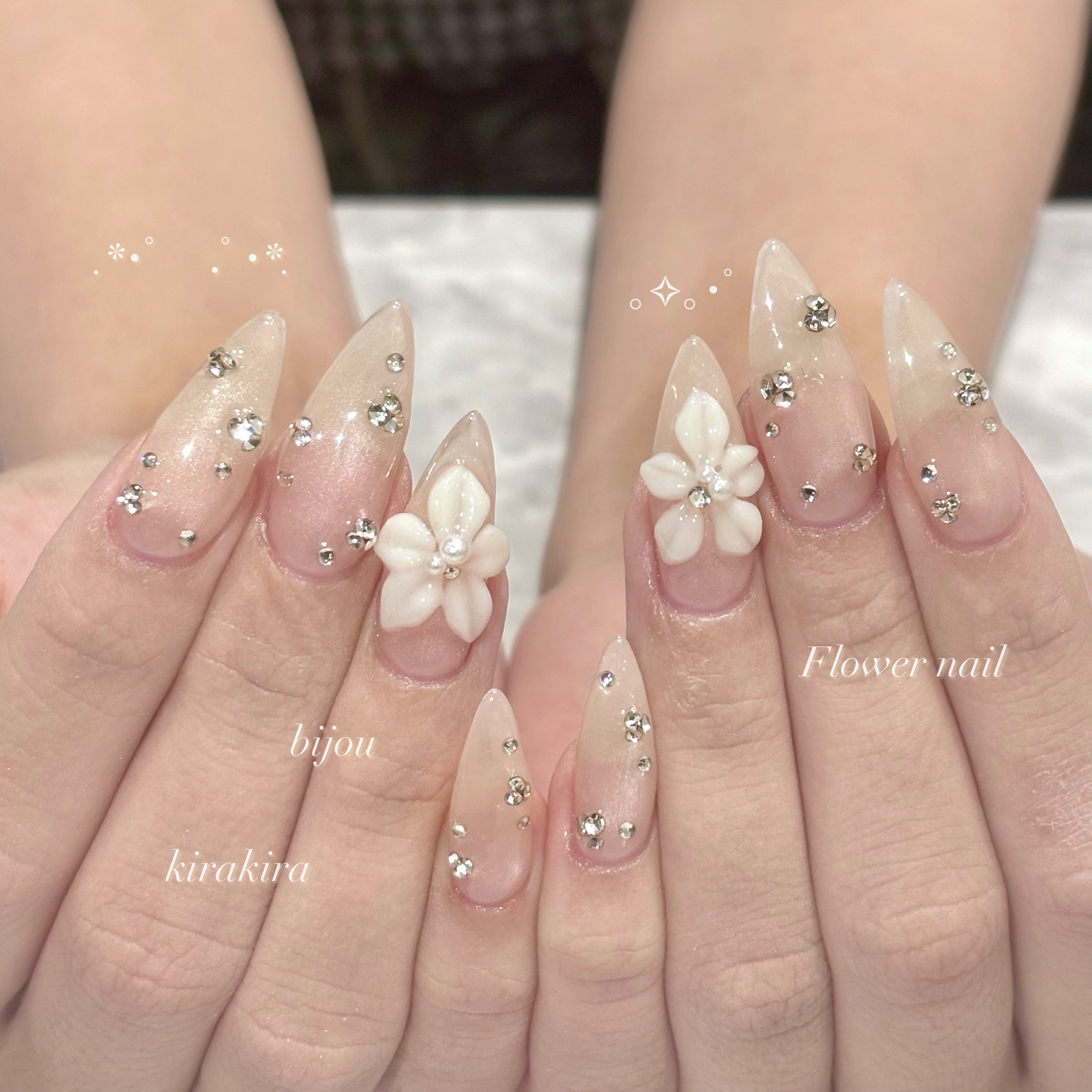fein_rion