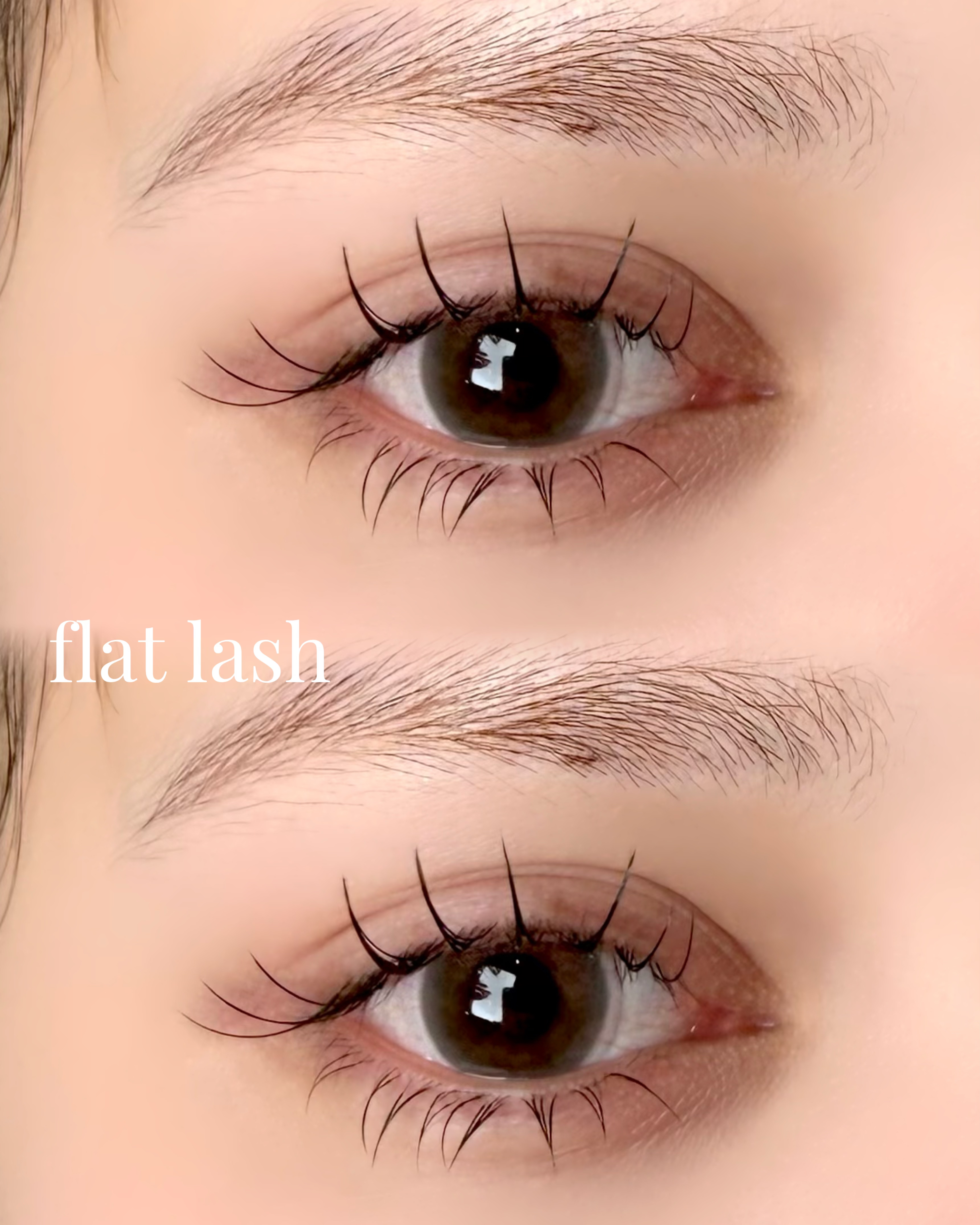 LOAVE_MEI