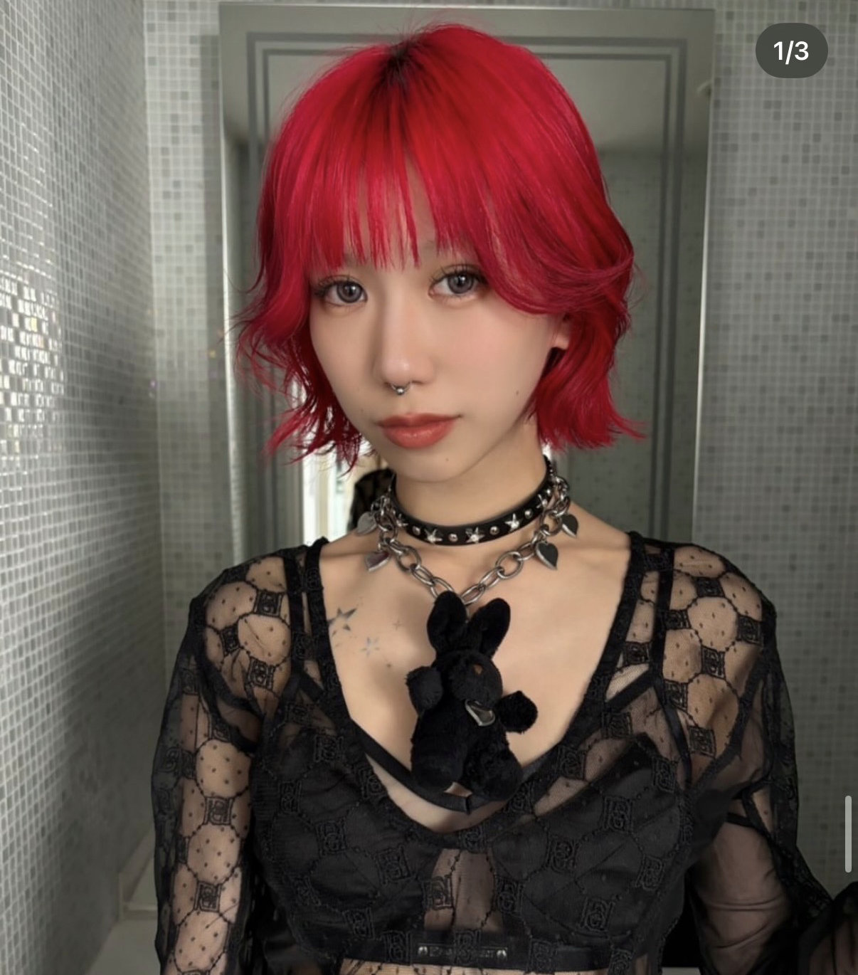 kishi_shachu