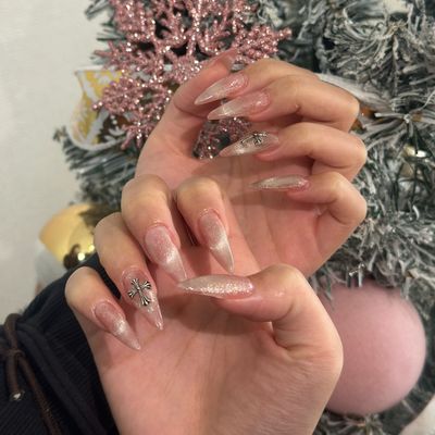 人気💅【10本チップ長さ出し】マグネット / フラッシュ / ミラー