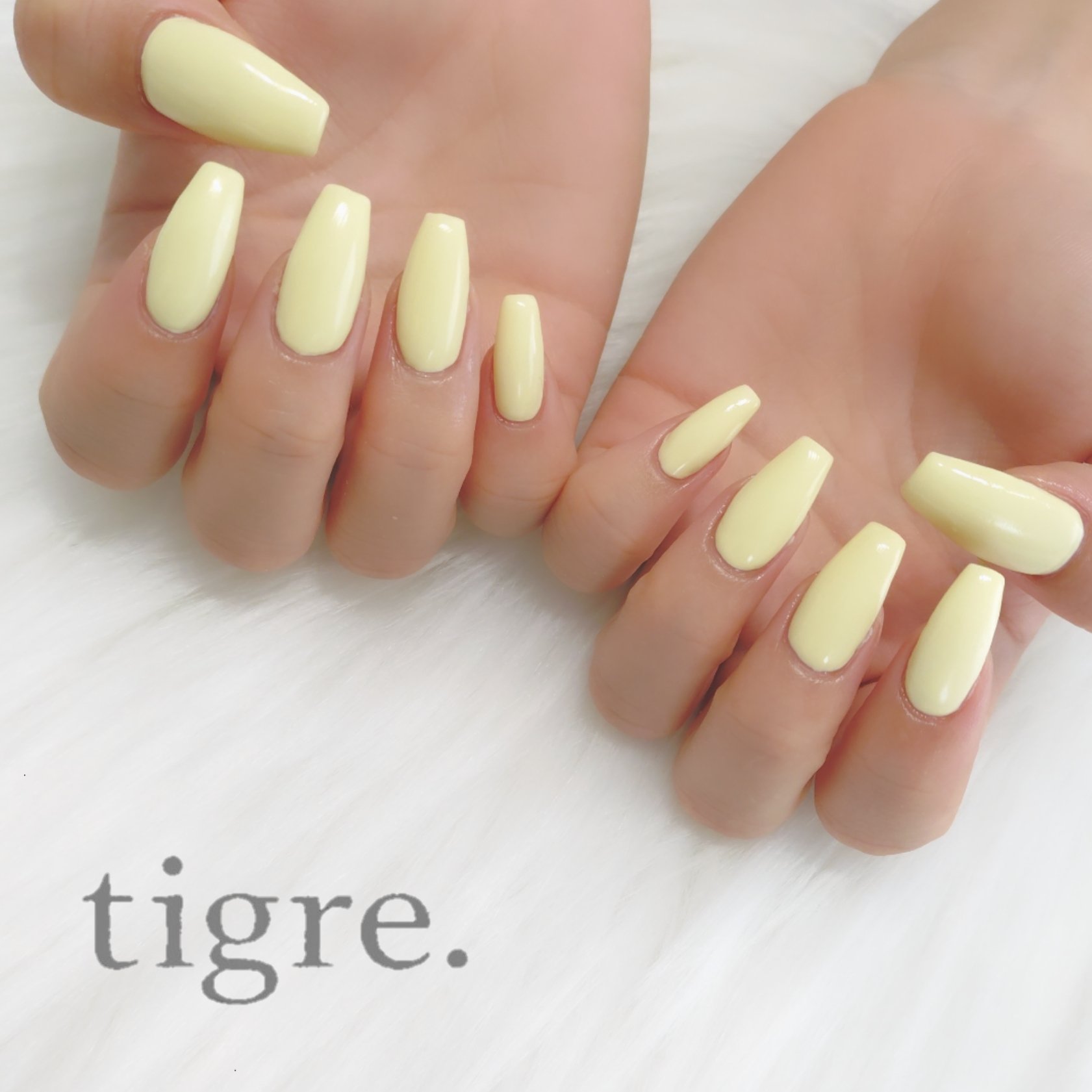 tigre.by_Natsuki