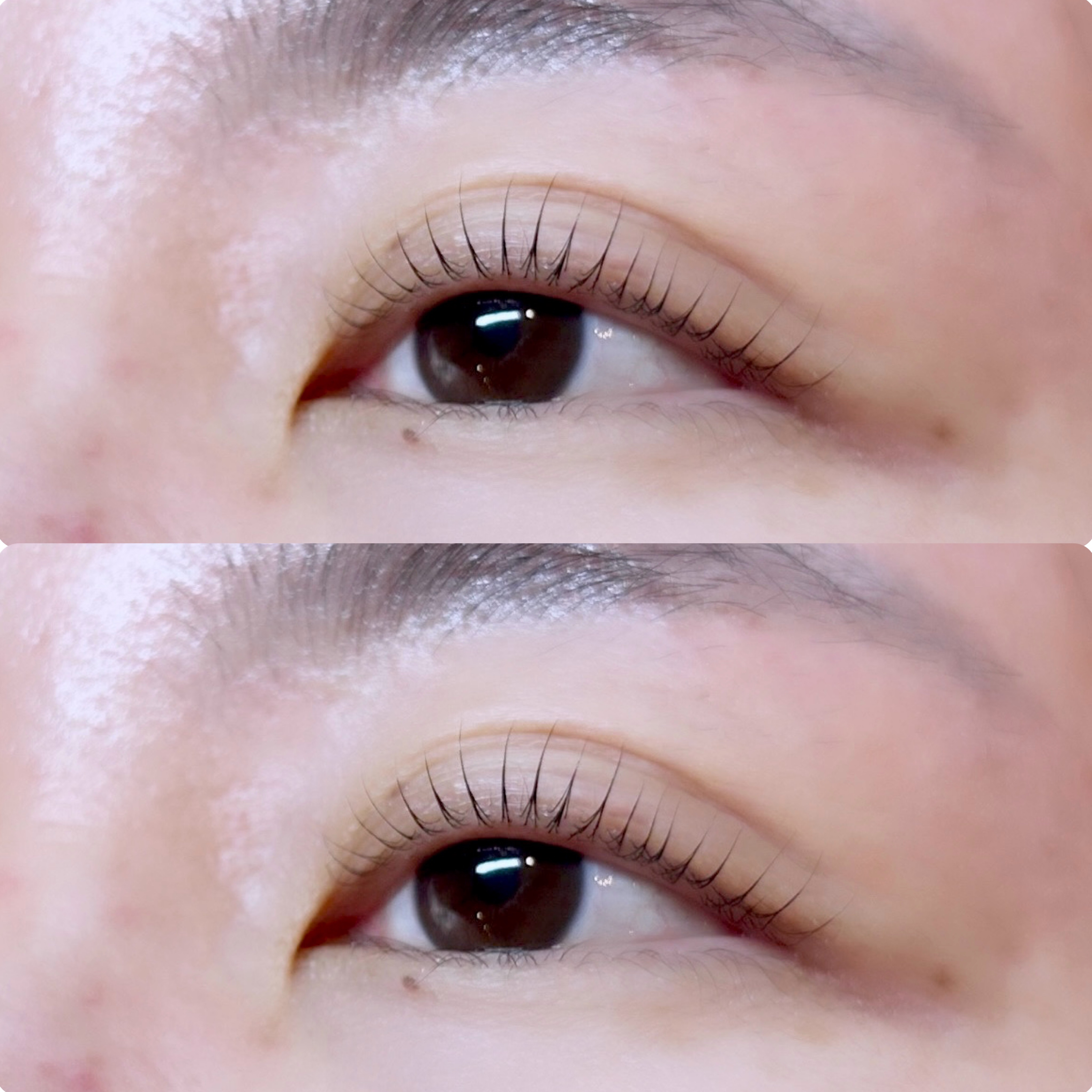 mutsuki_trueye
