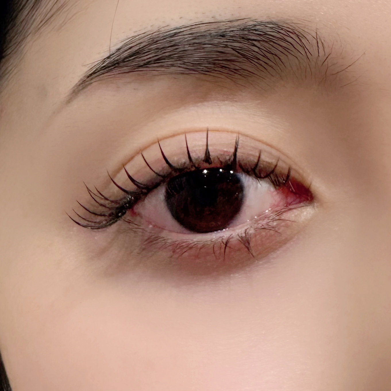 eye_RICO