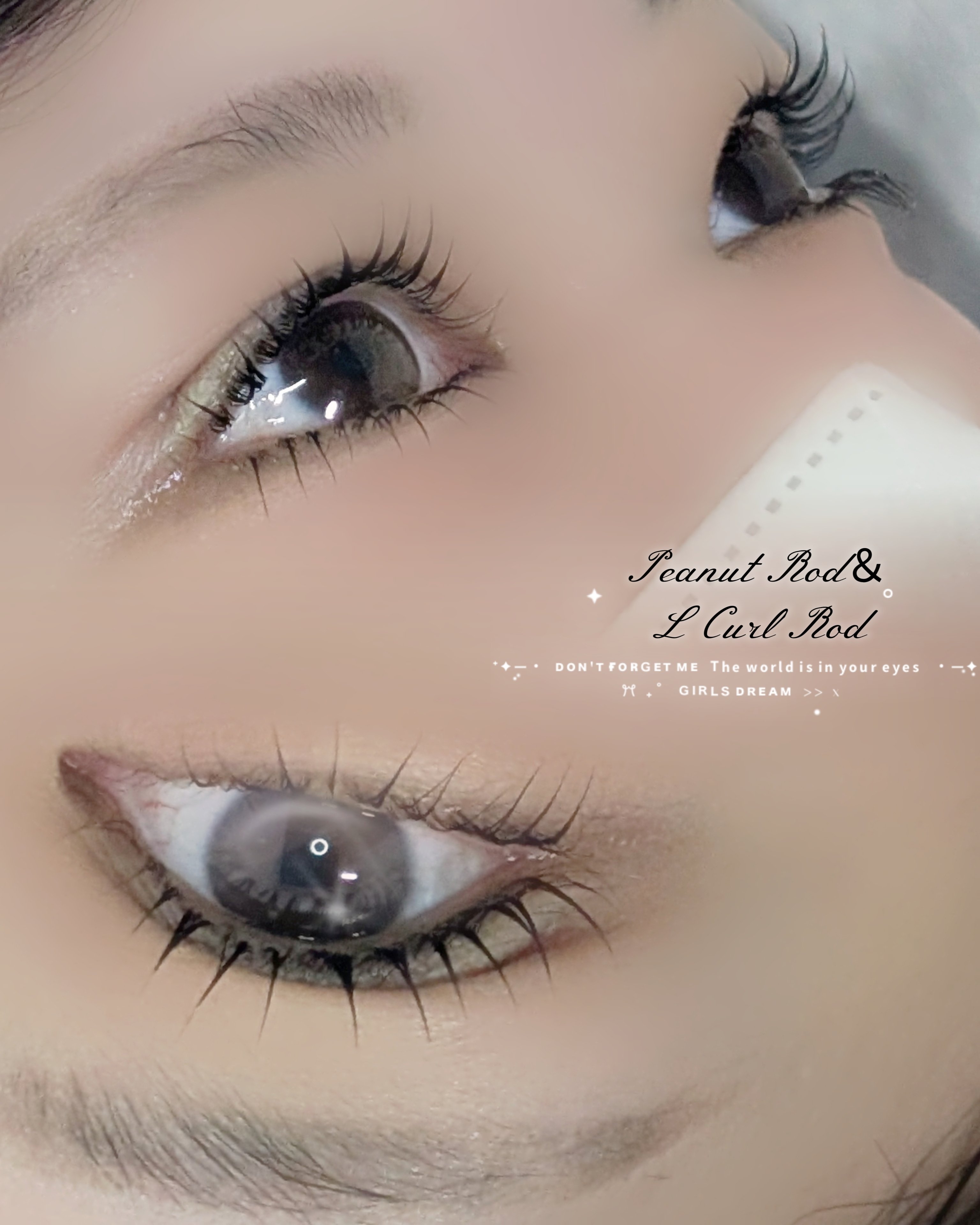 bloom.chihiro