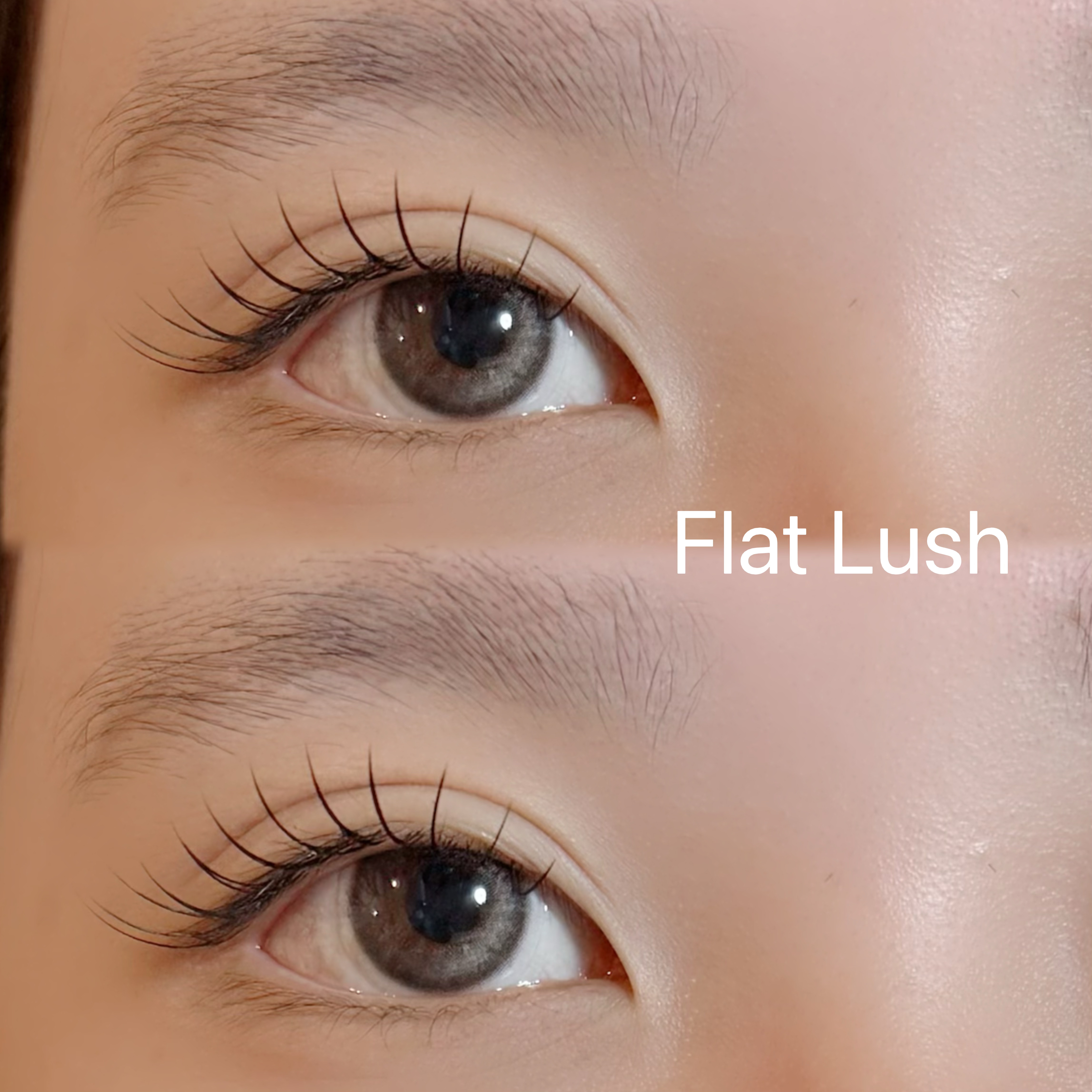 R_LASH
