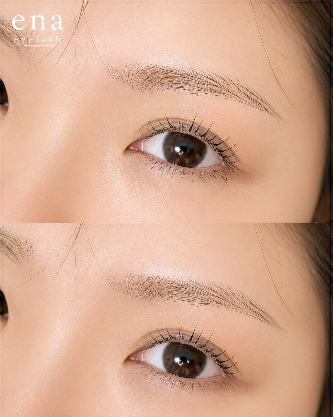 Yuko.2025