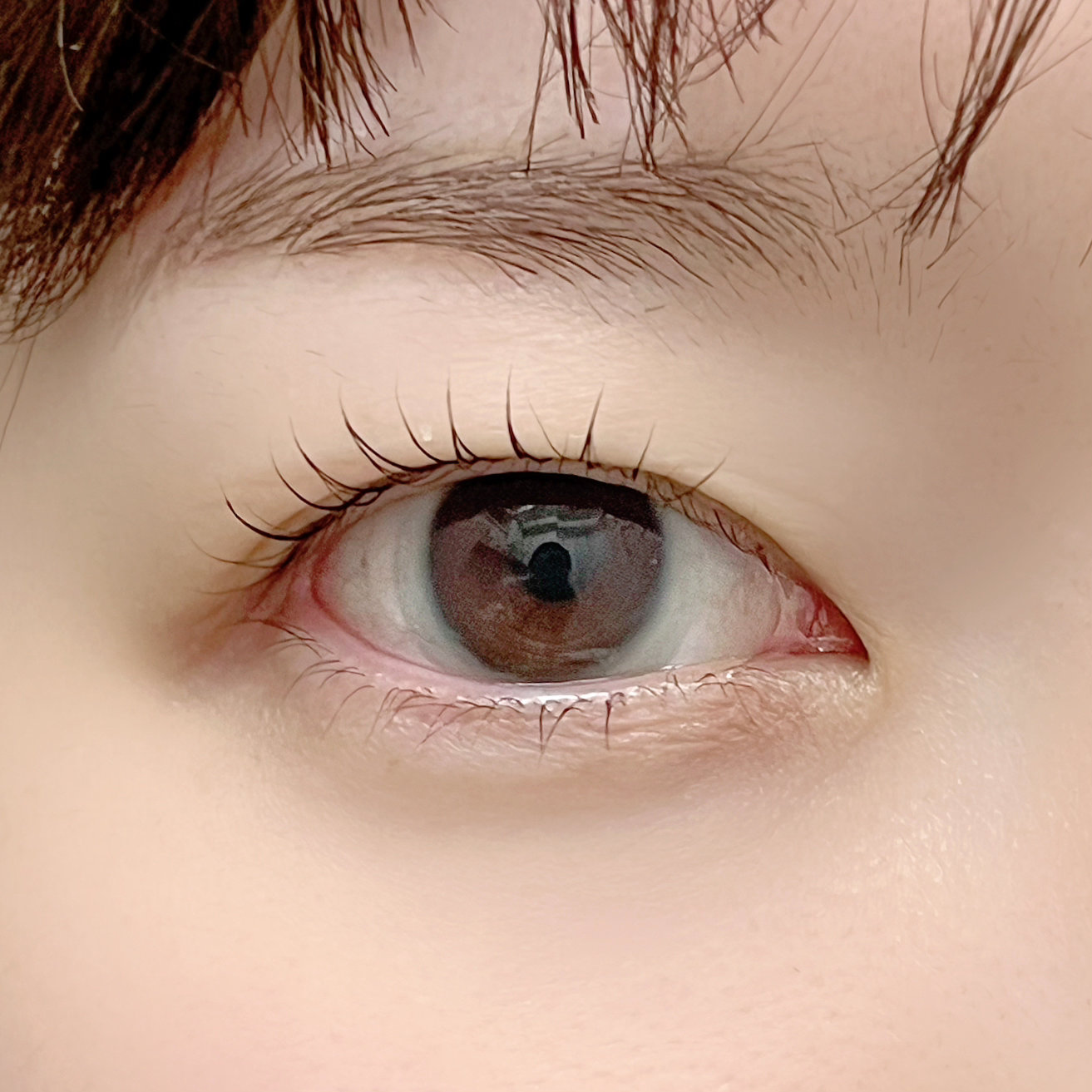 hanamori__ayumi
