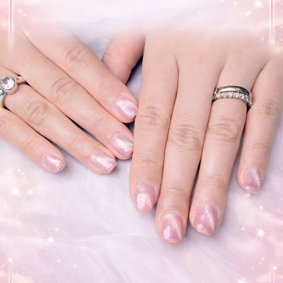 【初回限定】ワンカラー（500色）｜パラジェル