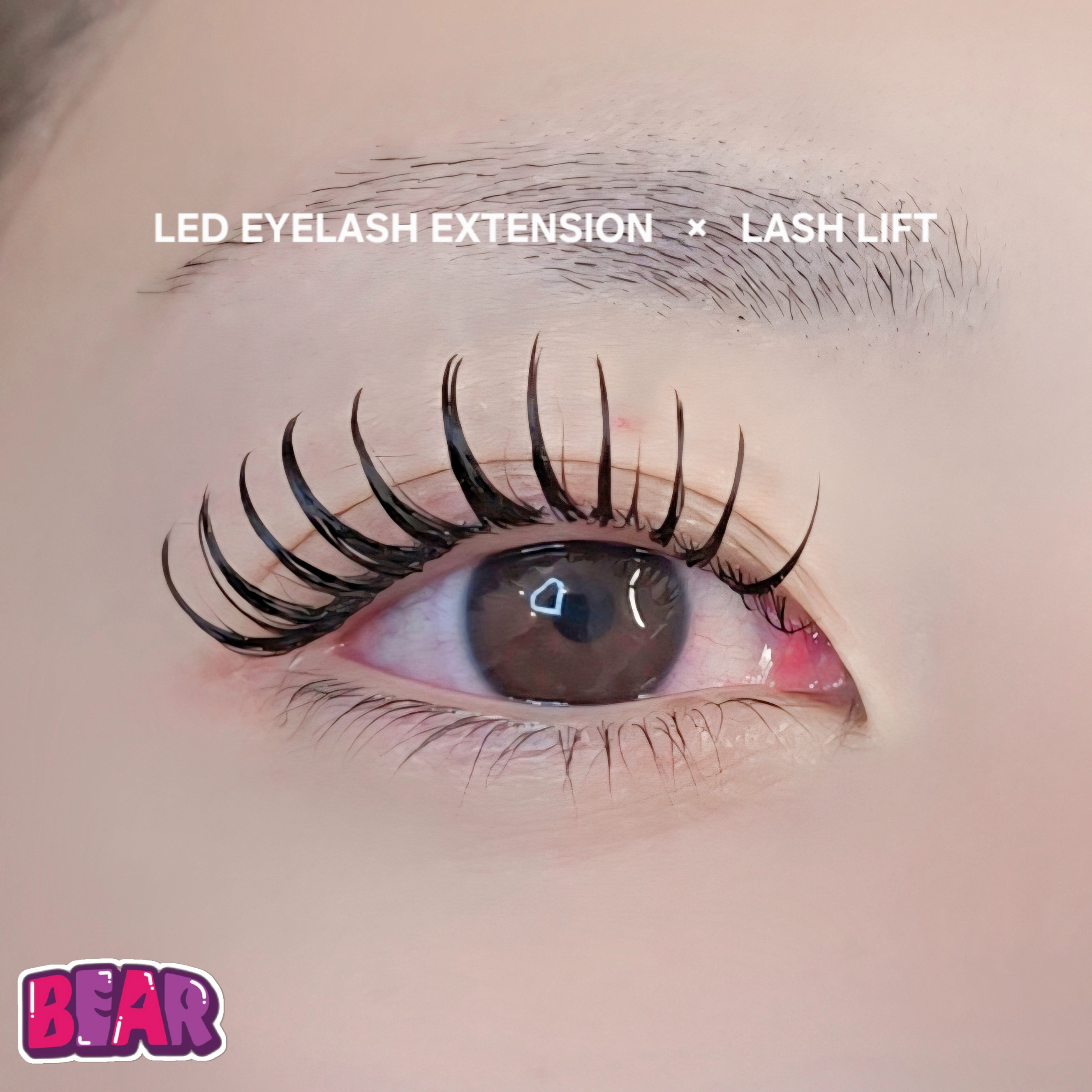 bear._.eyelash