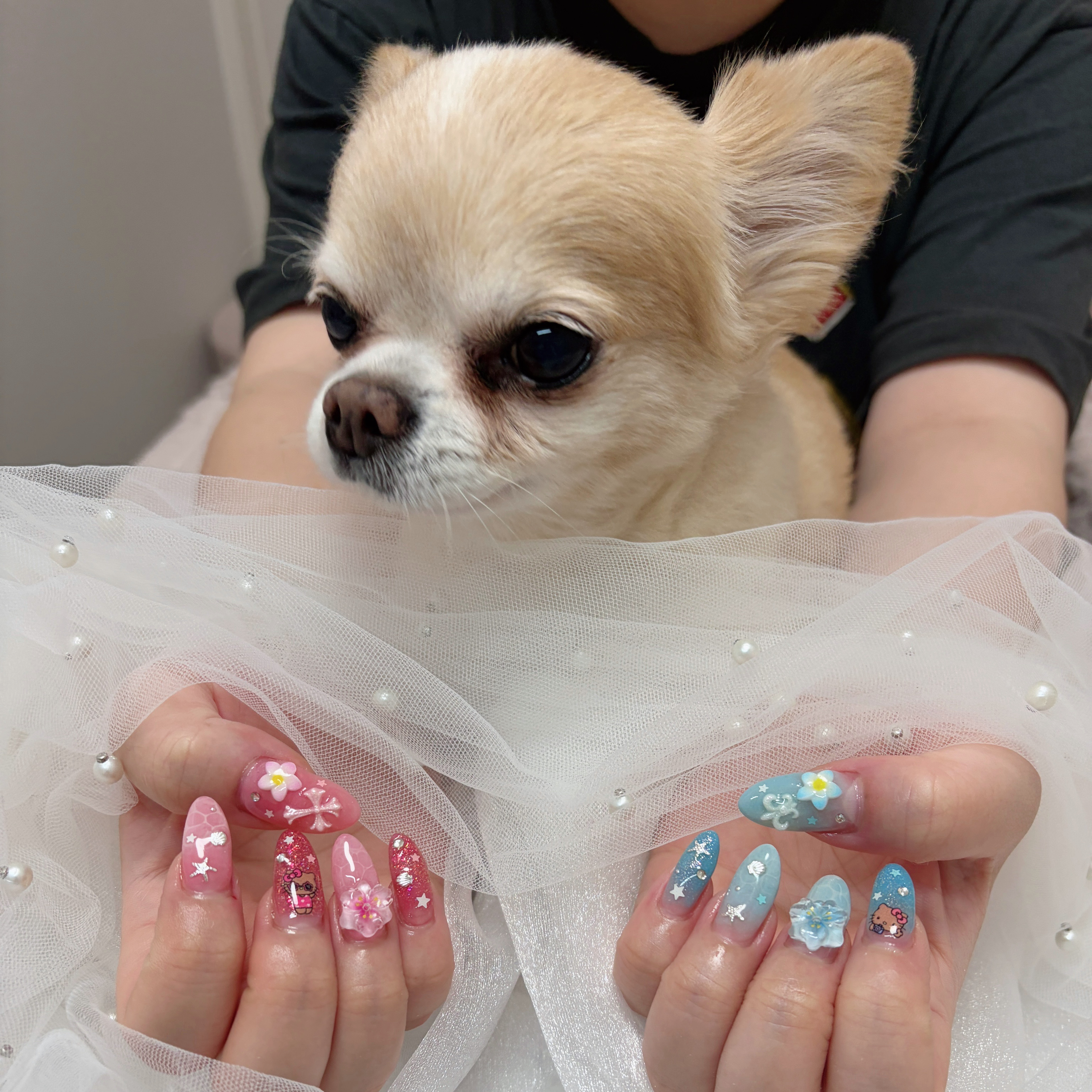 Nailsalon.puuko