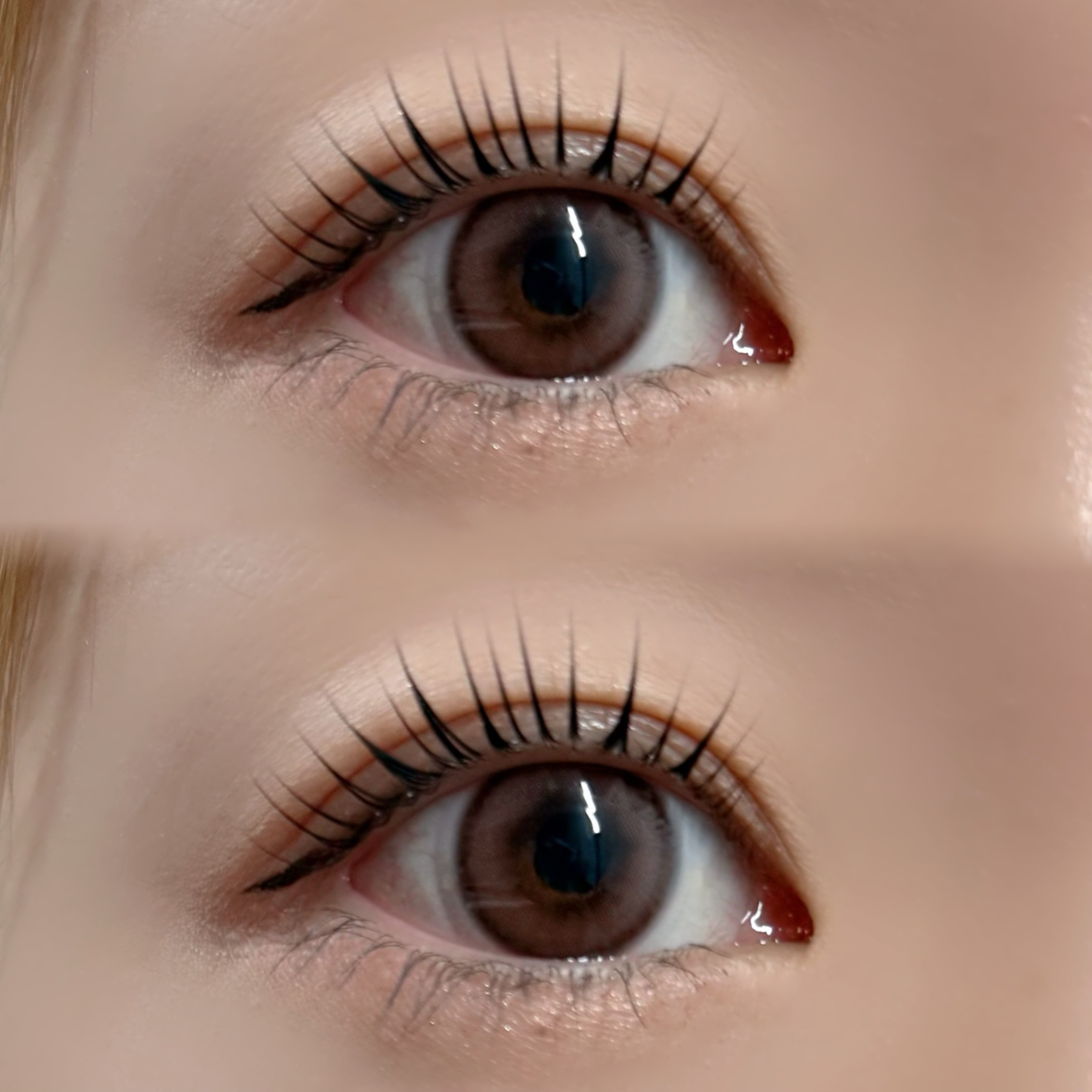 R_LASH