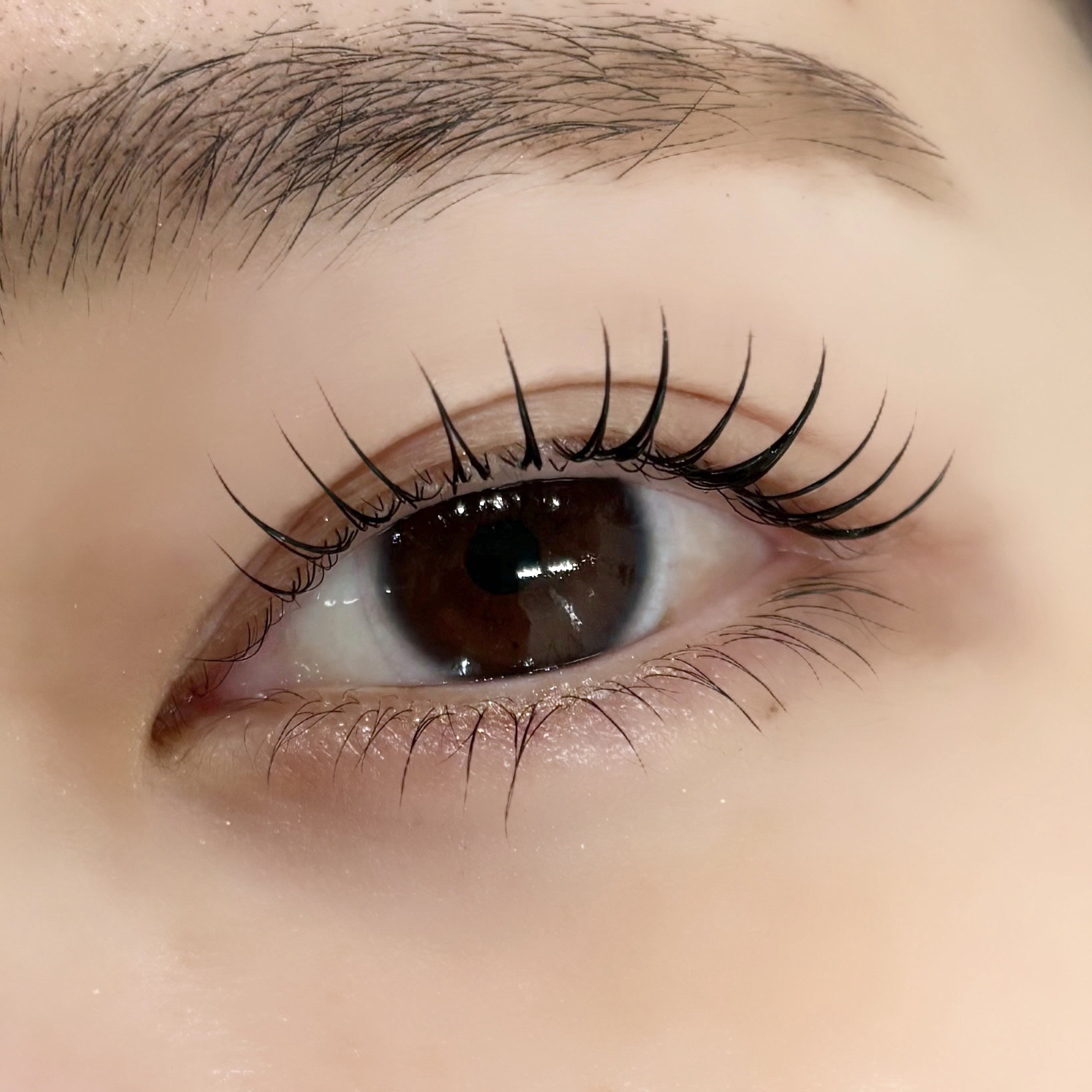 seika_eyelash
