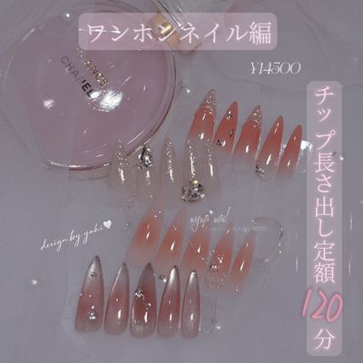 〈チップ長さだし〉【🎀ワンホン編】nyna nail 120分定額design