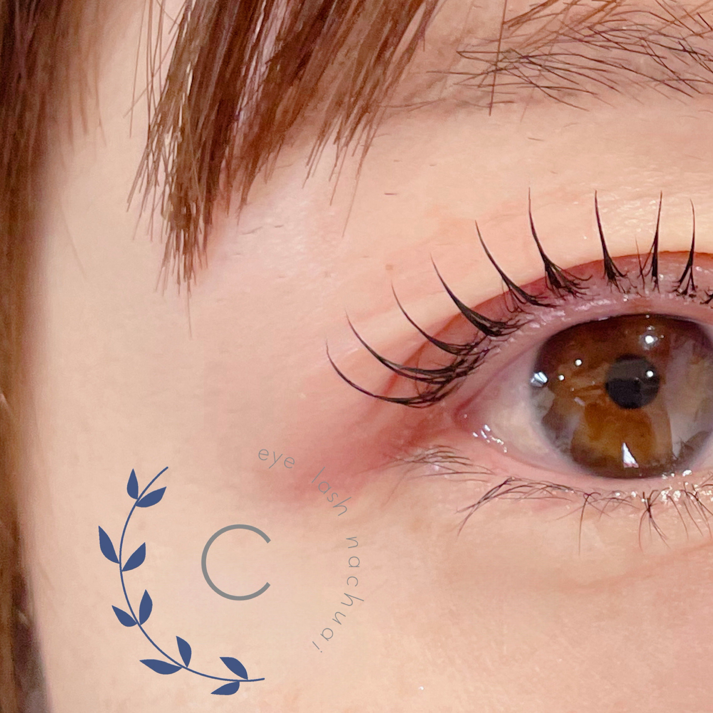 ceyelash_chiharu