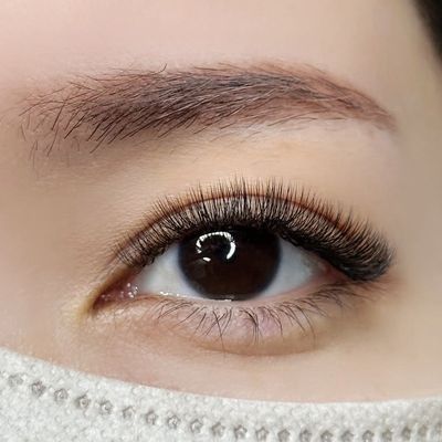 ボリュームラッシュ 100束*500本まで