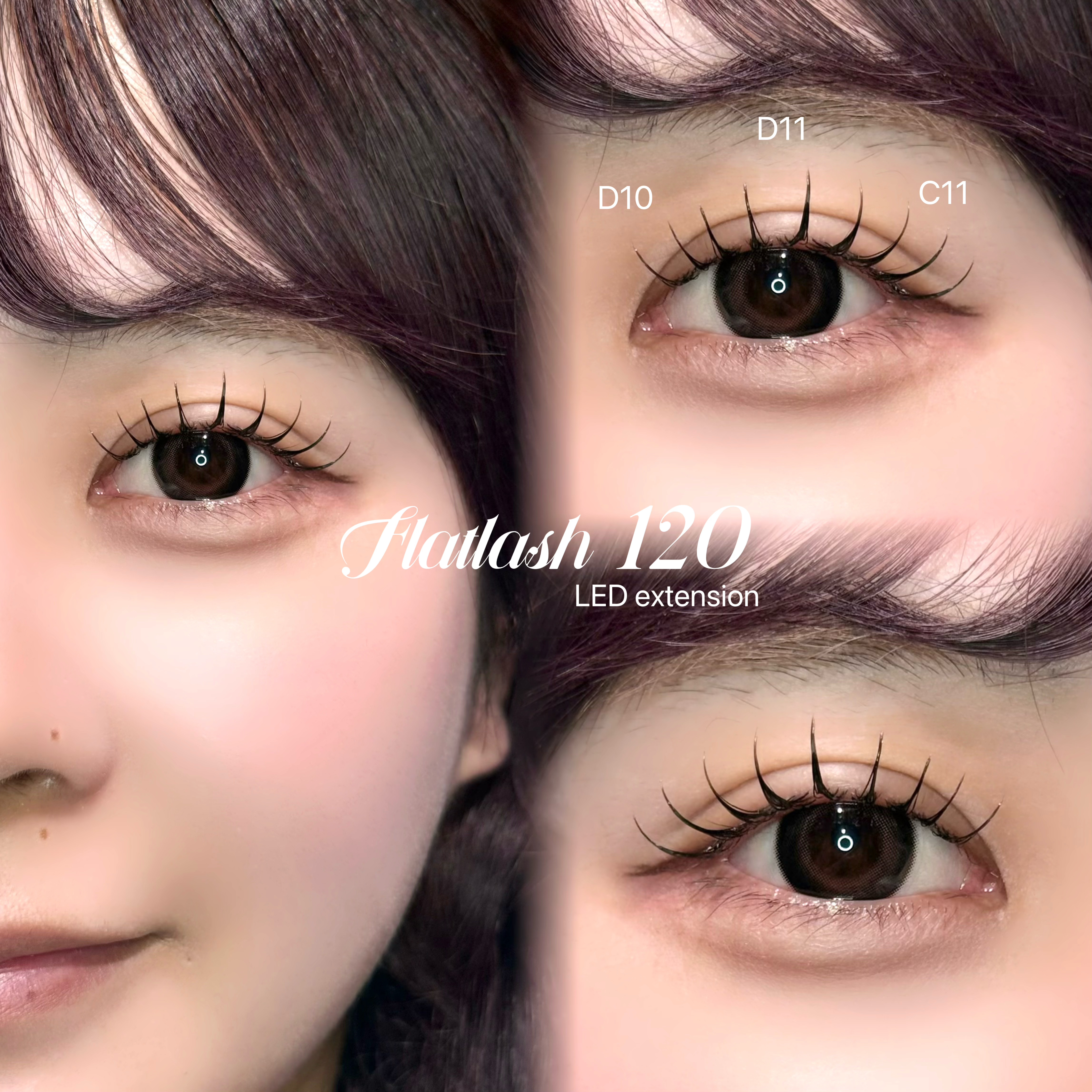 fein_yumina