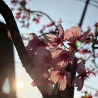 ayao07_