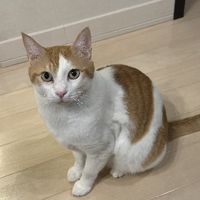 yuuhina020683