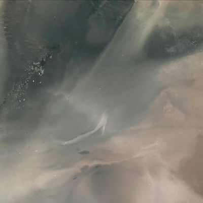 【1本】ジェル長さだし