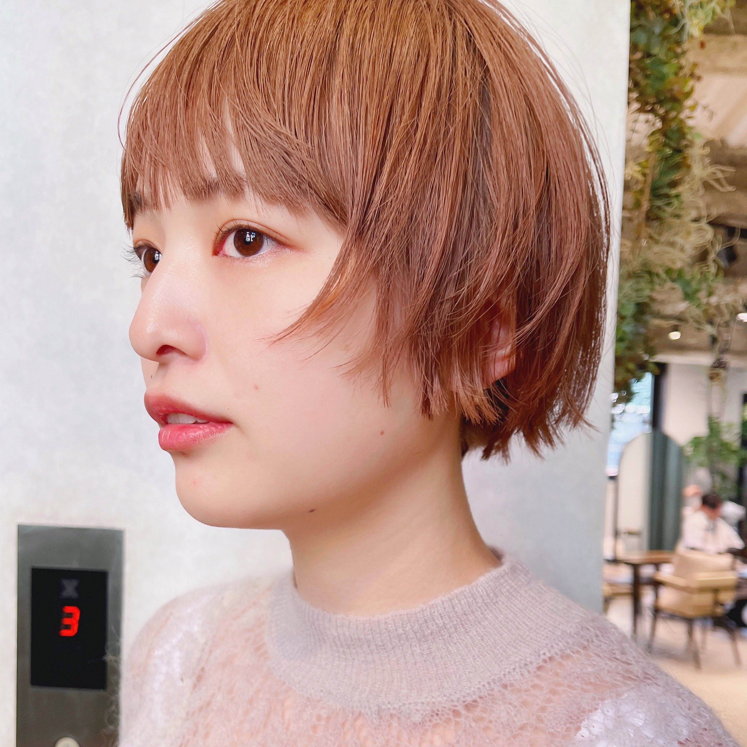 negi_december