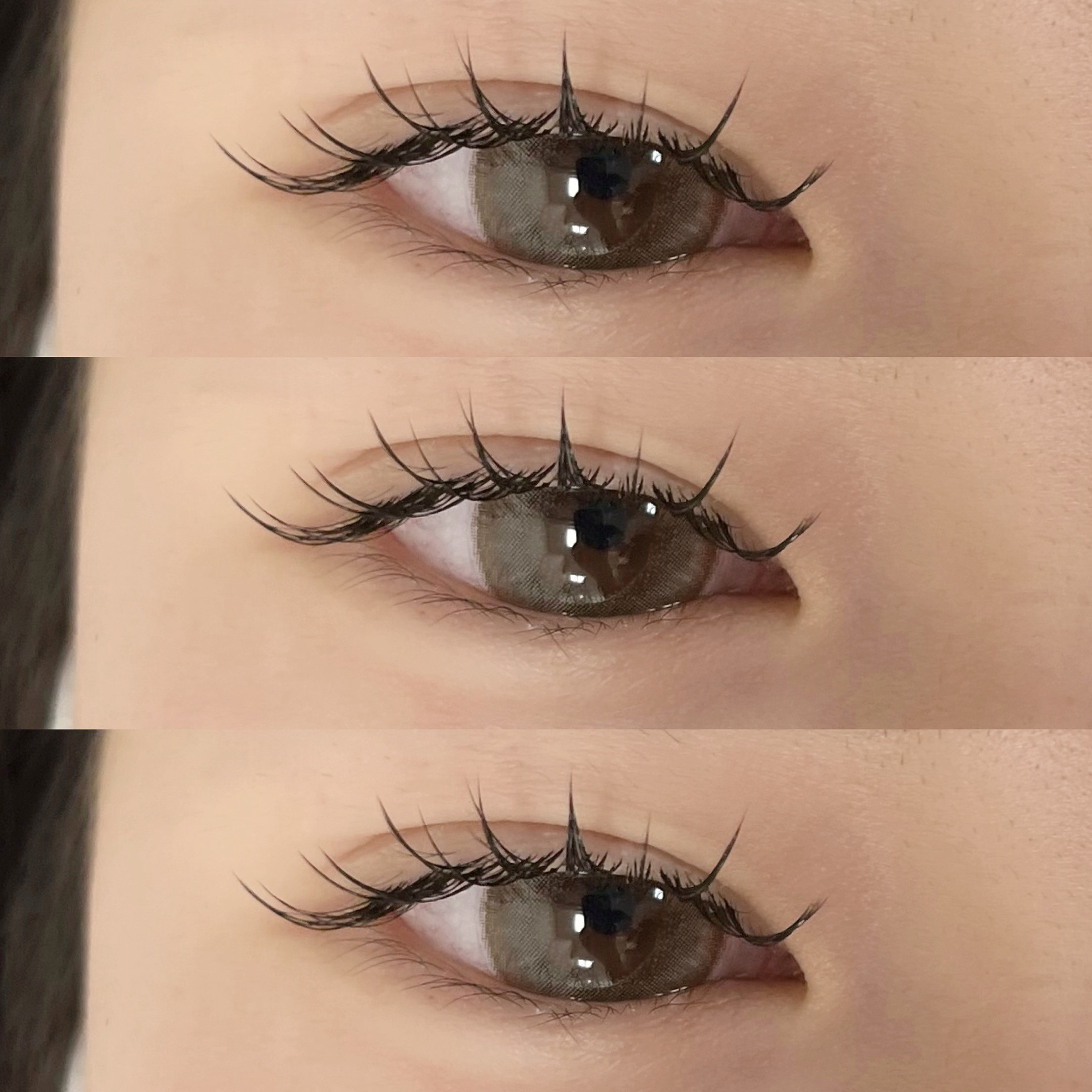 himawari_trueye